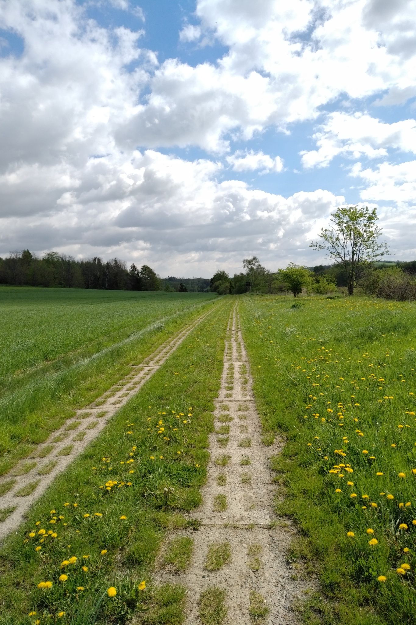 Kolonnenweg