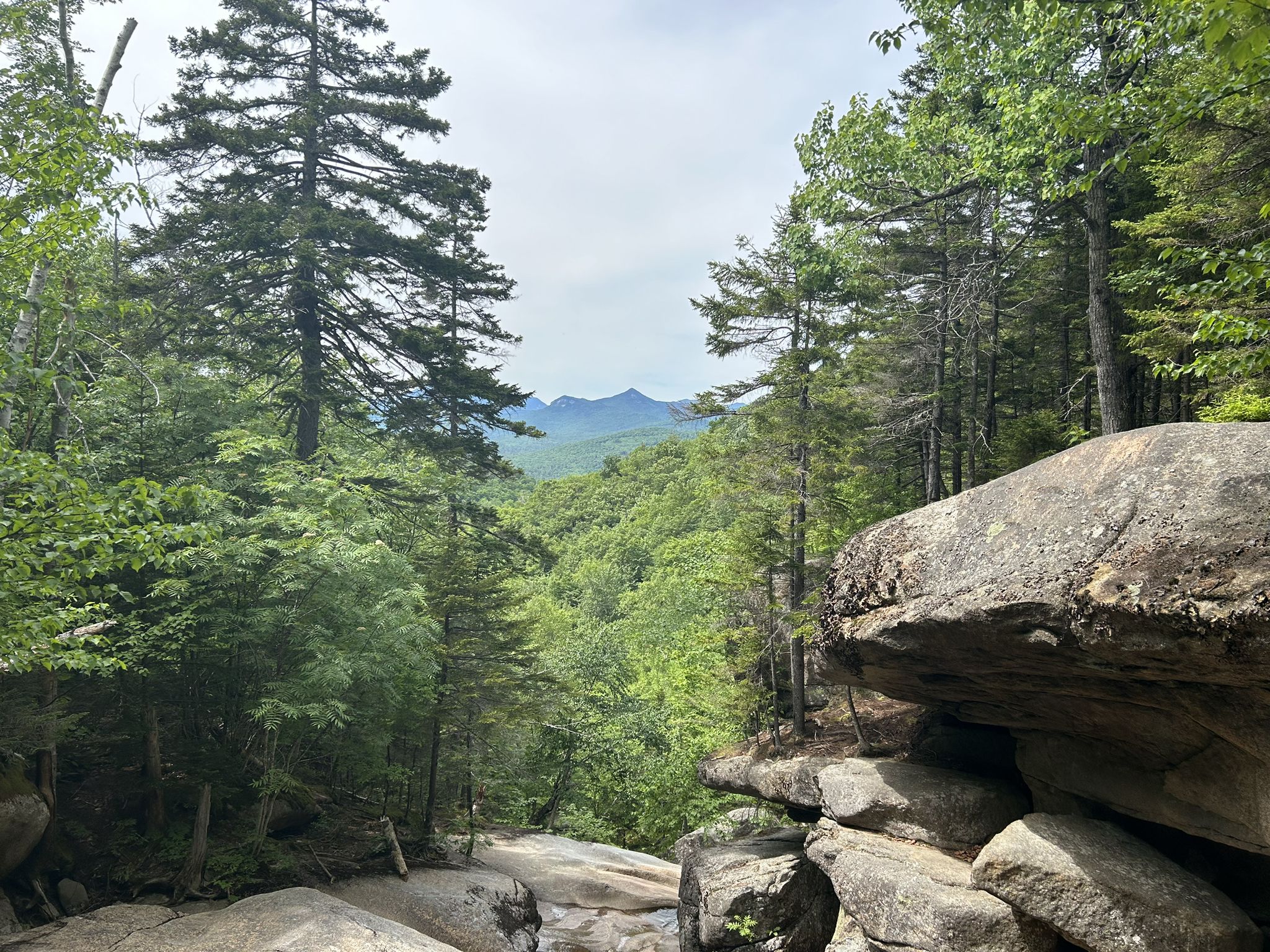 Lush green forest valley with distant mountains under a bright sky. - Champney Falls Trail