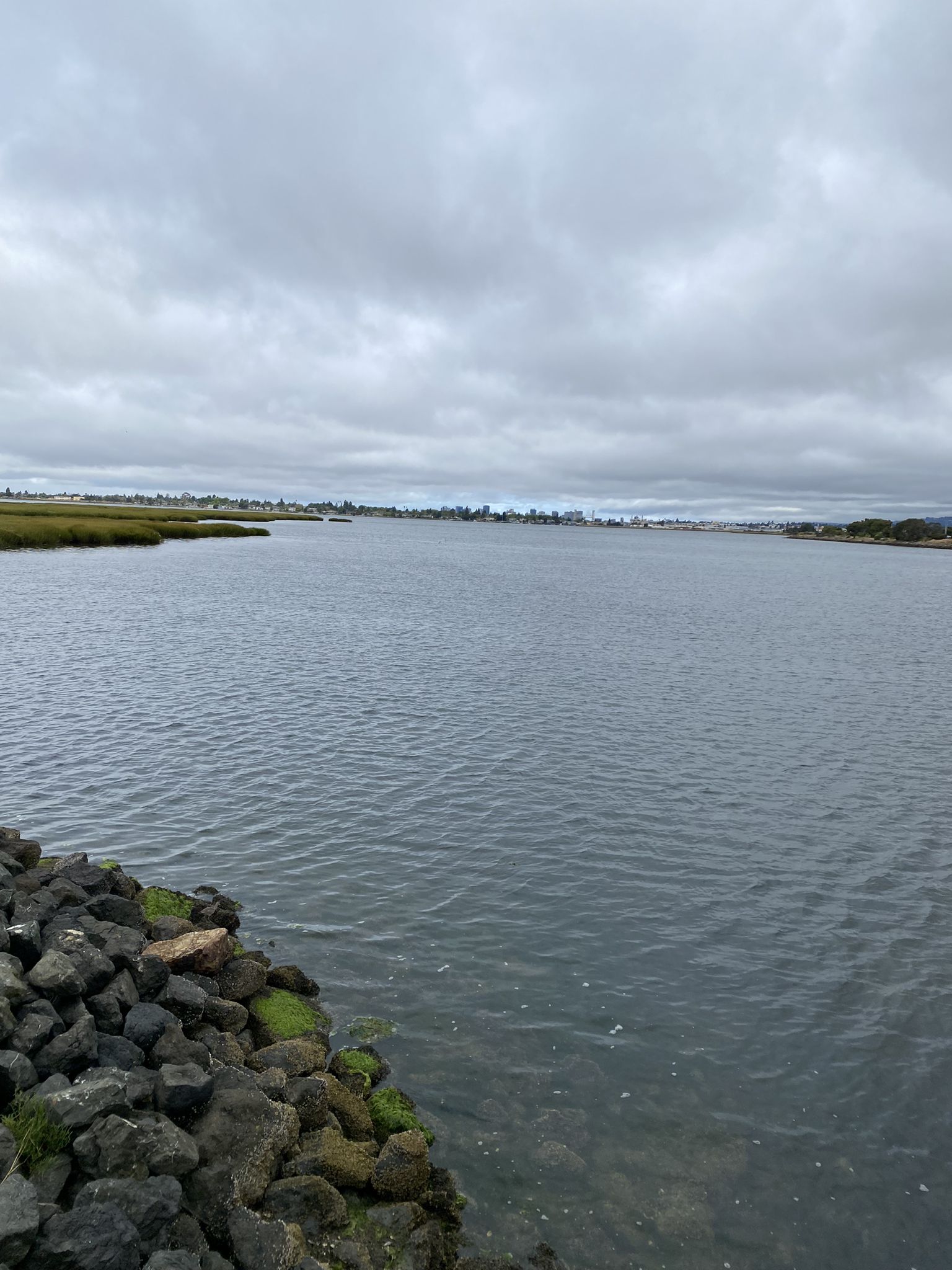 A wide body of water with a rocky shore under a cloudy sky. - San Leandro Creek and Arrowhead Marsh Loop