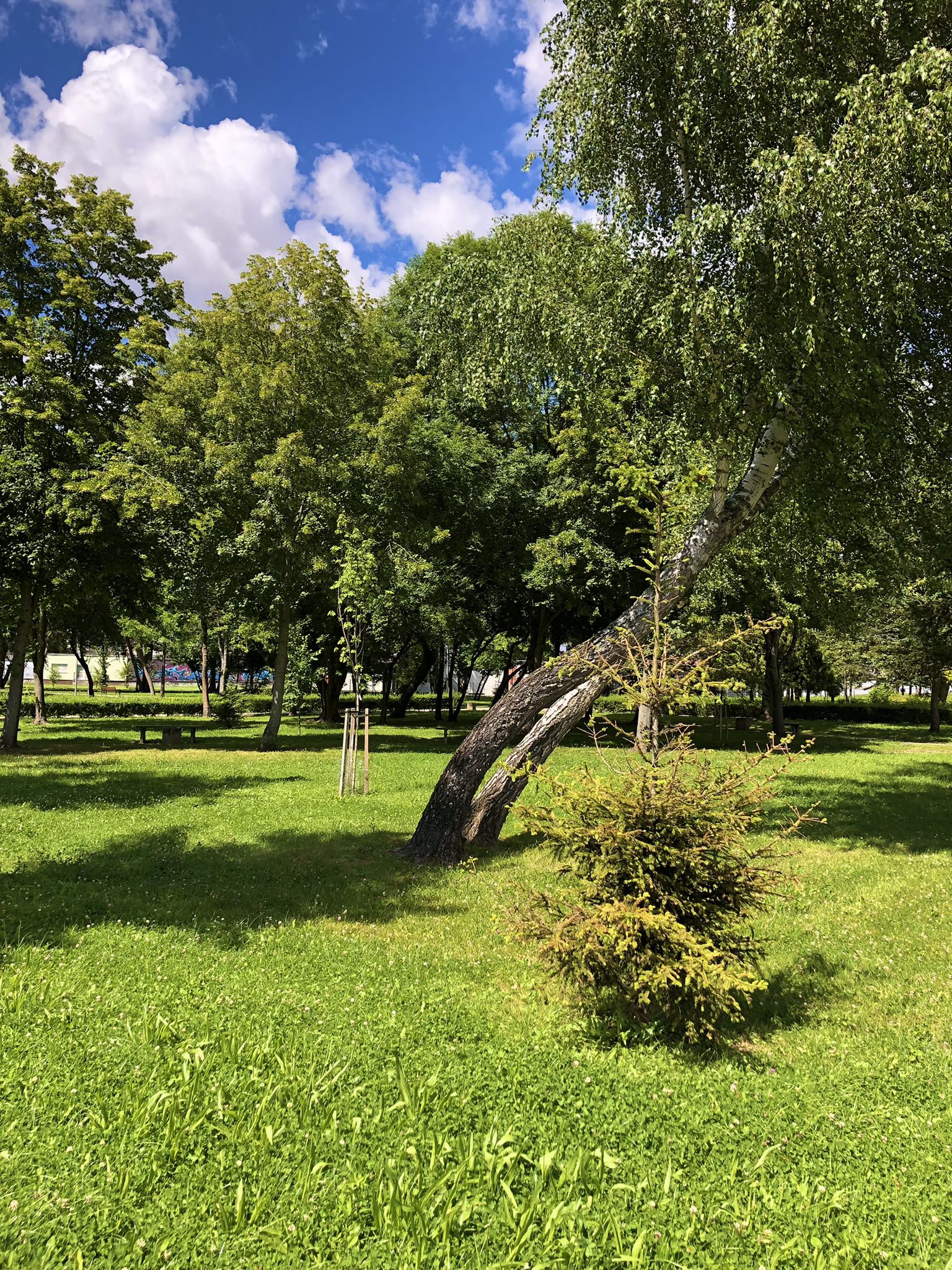 Park