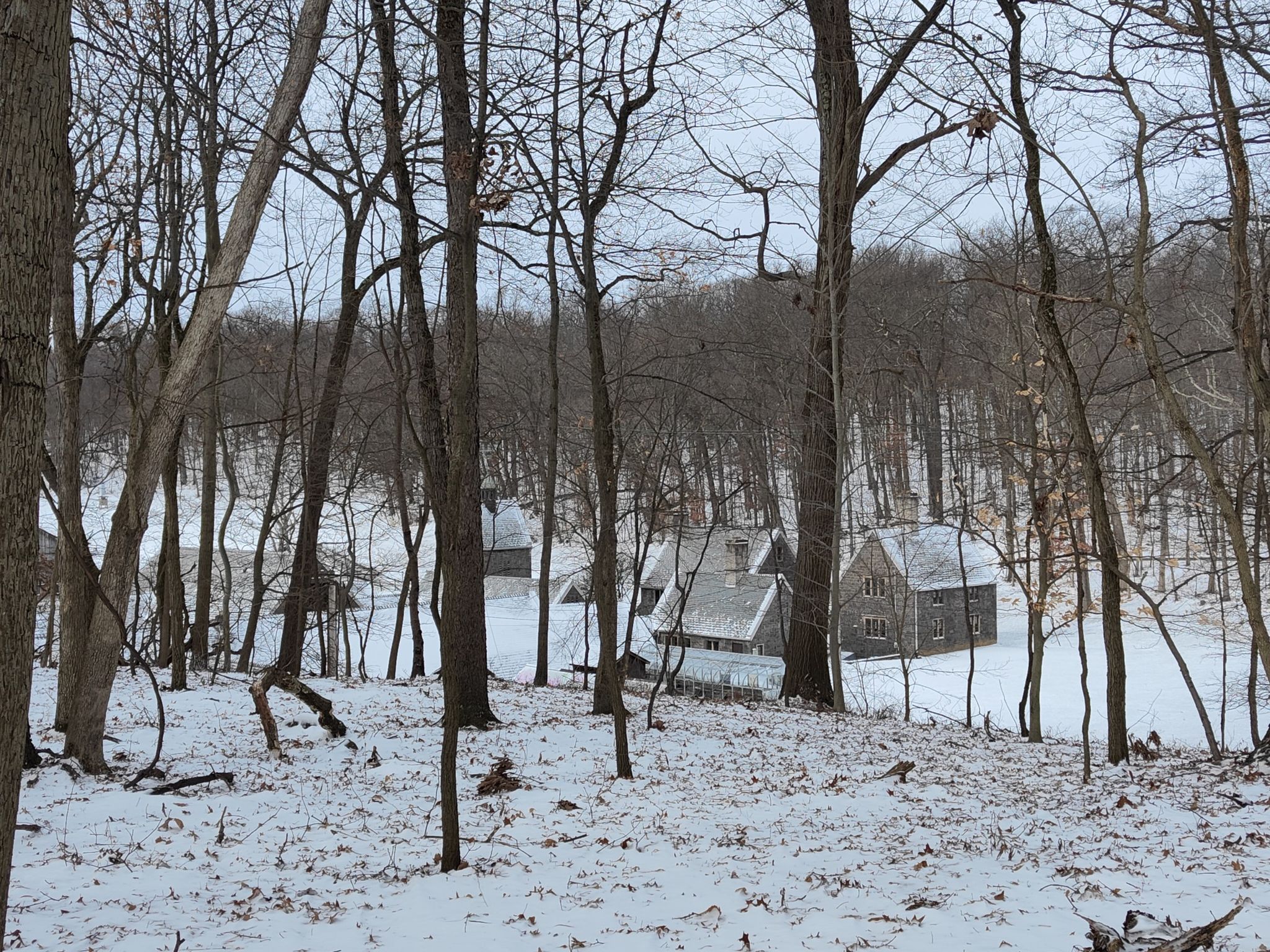 Stone houses nestled in a snowy, bare winter forest under overcast skies. - Hartwood Acres Park loop