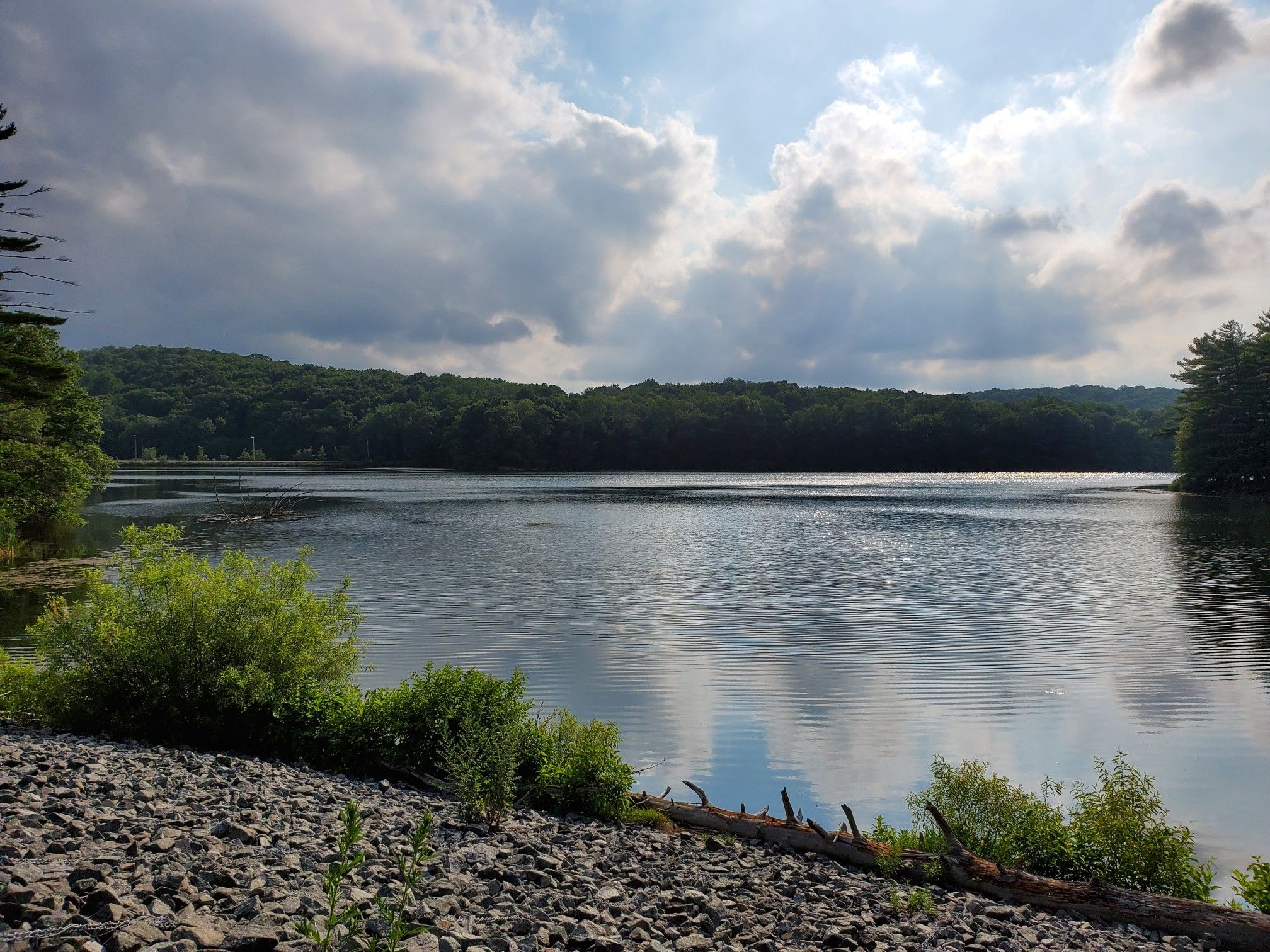 Cloudy day over a calm lake with forested hills and rocky shore. - Butler Reservoir Loop