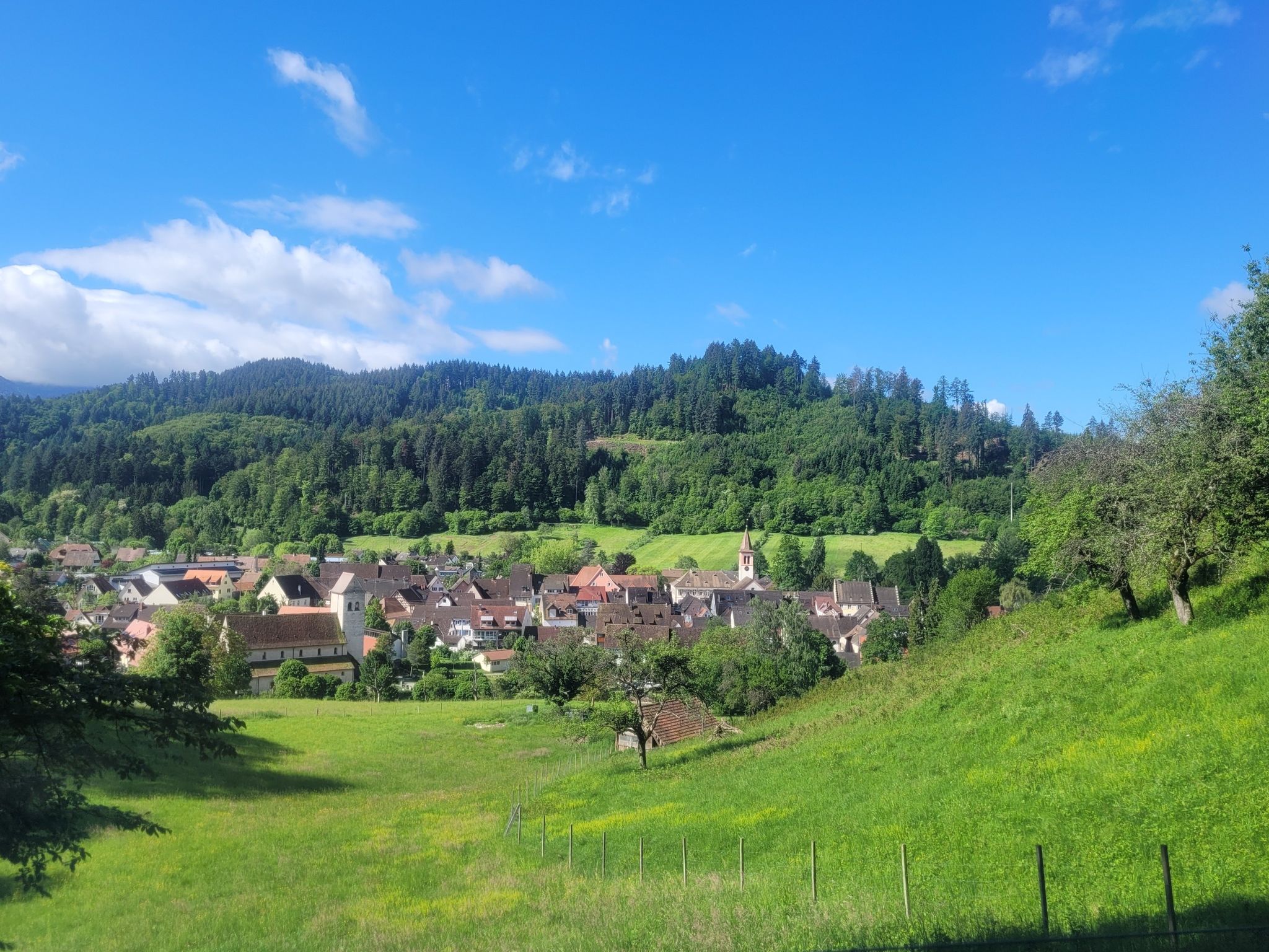 schönef Blick auf Sulzburg