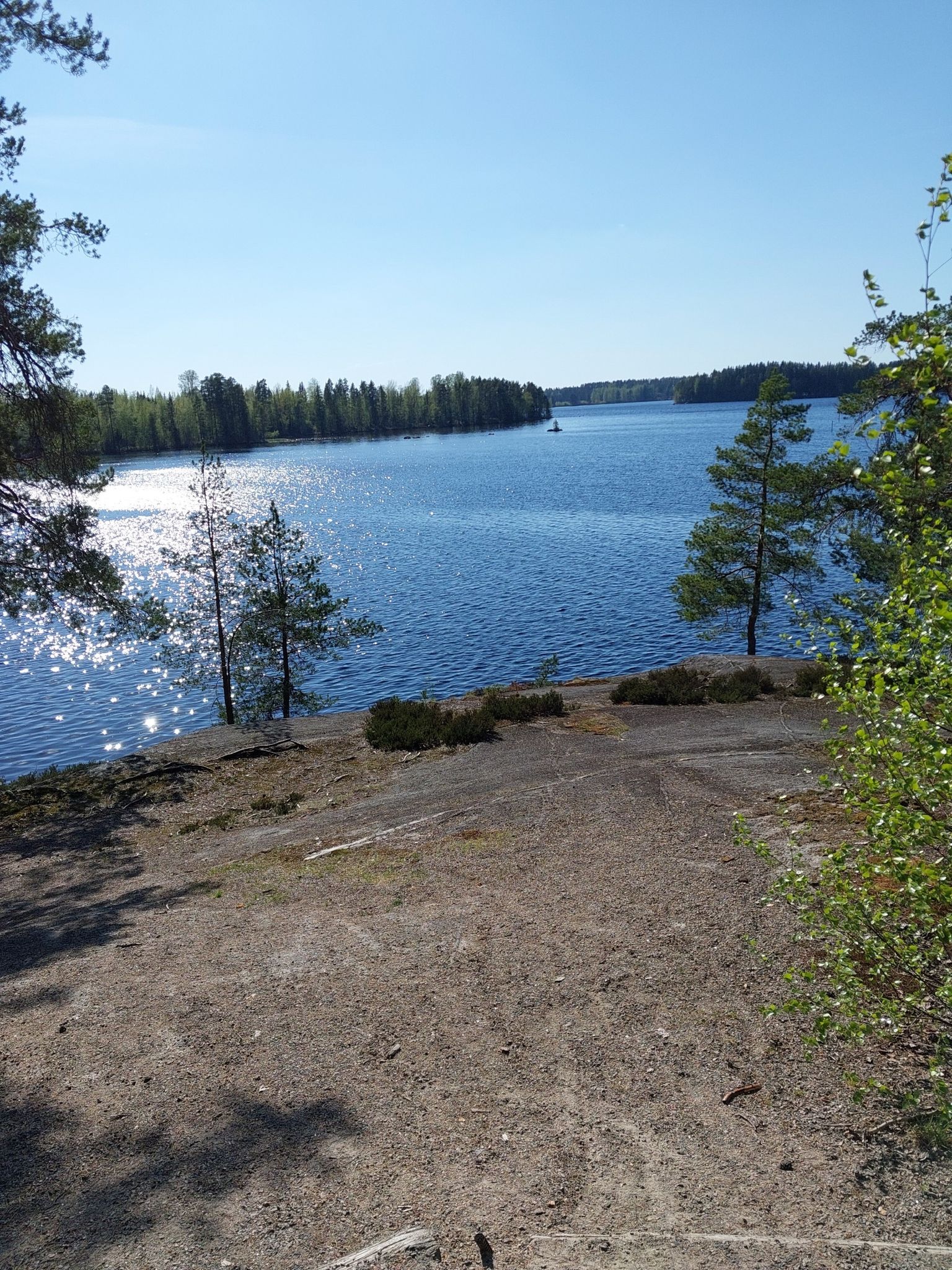 mesikämmen