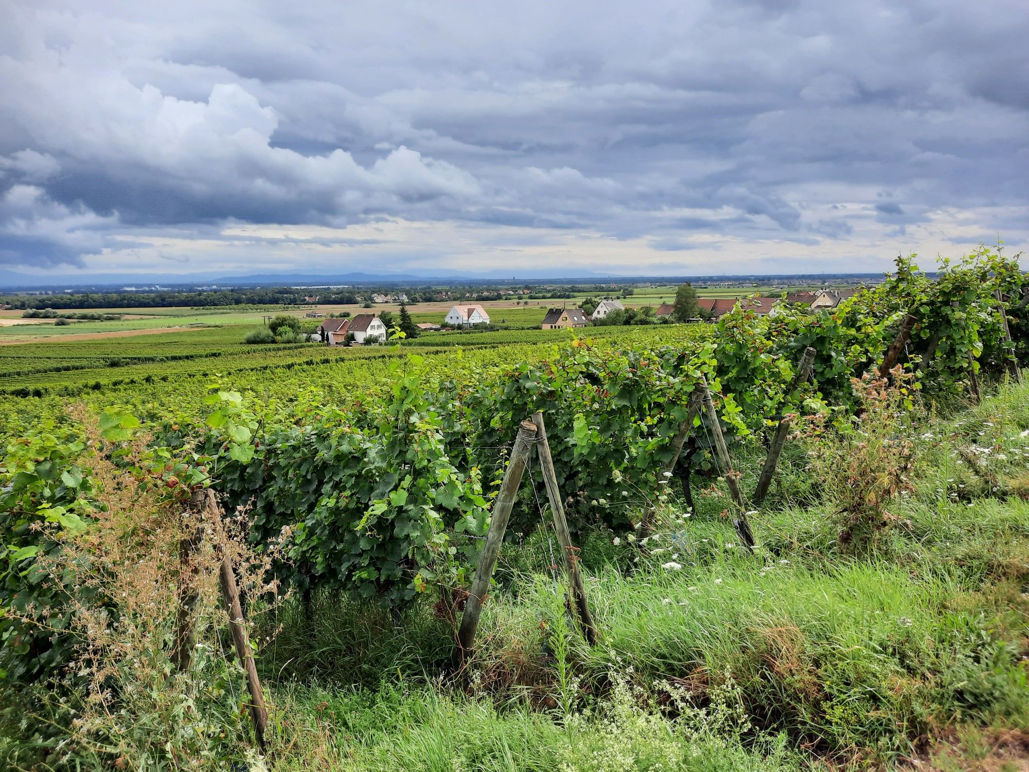 juste avant d'arriver à Dambach