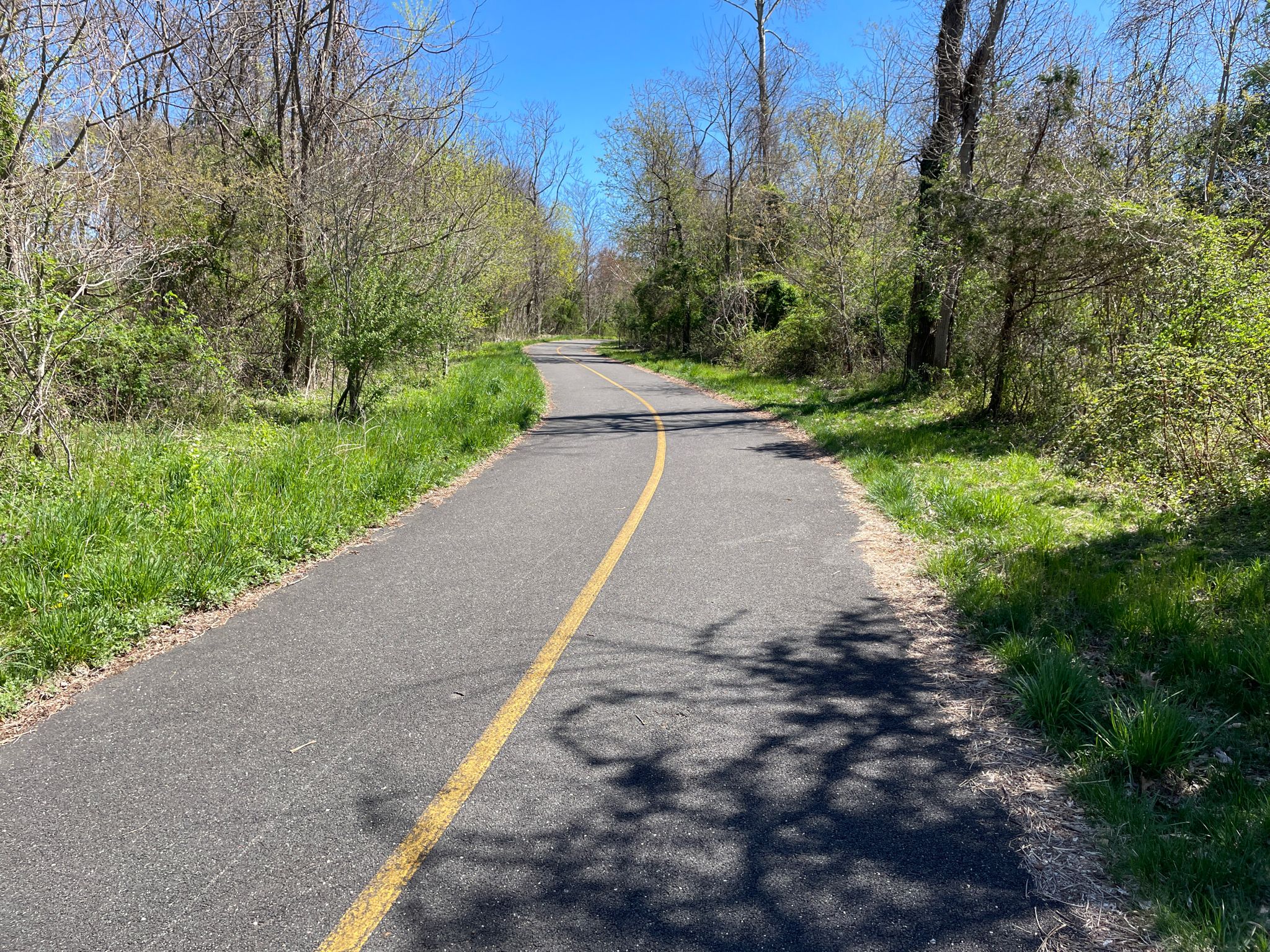 Winding paved path through green woods under a bright blue sky. - Setauket-Port Jefferson Station Greenway Trail