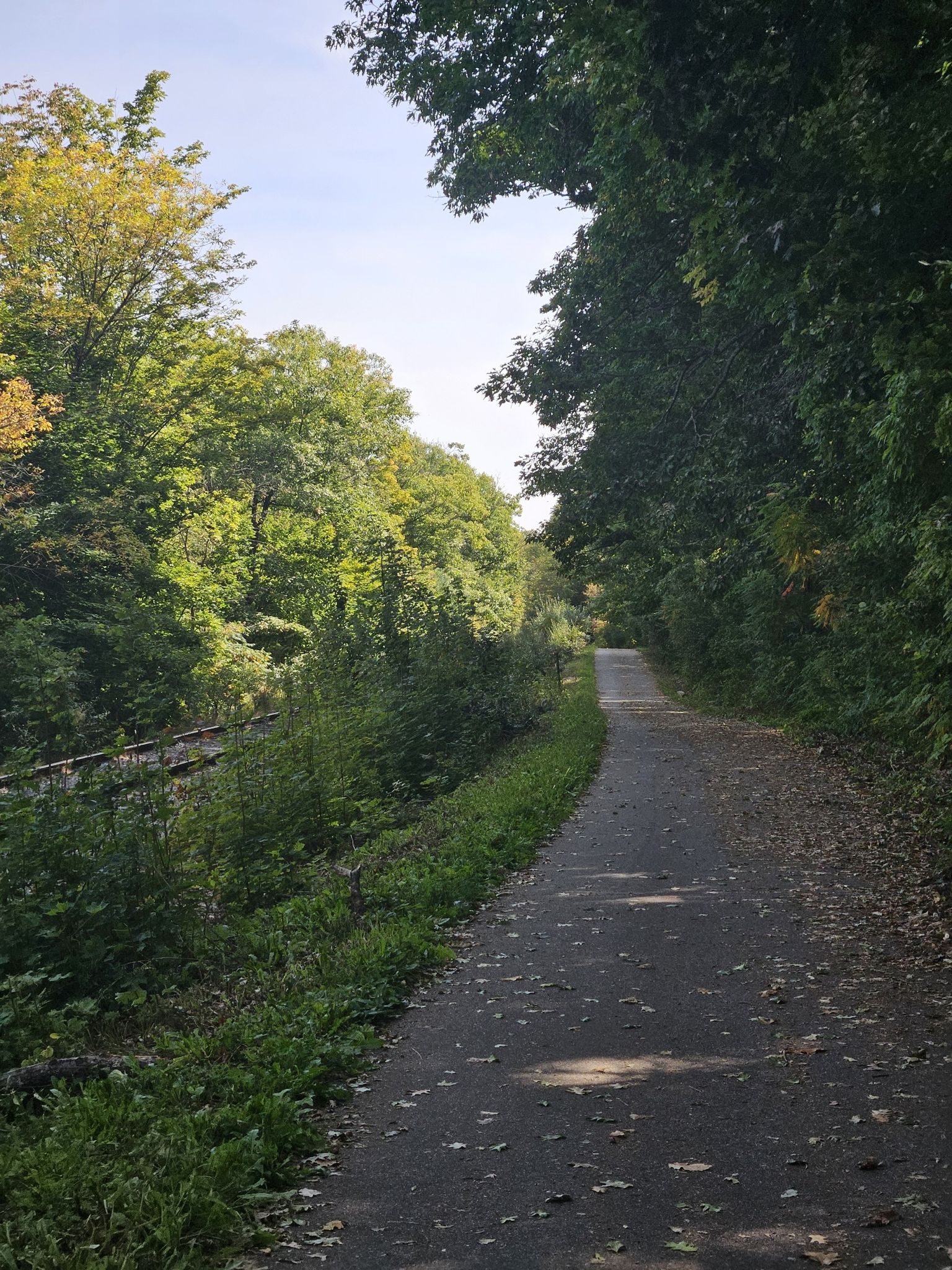 Paved path alongside old railway tracks, surrounded by lush green trees. - Kennebec River Rail Trail