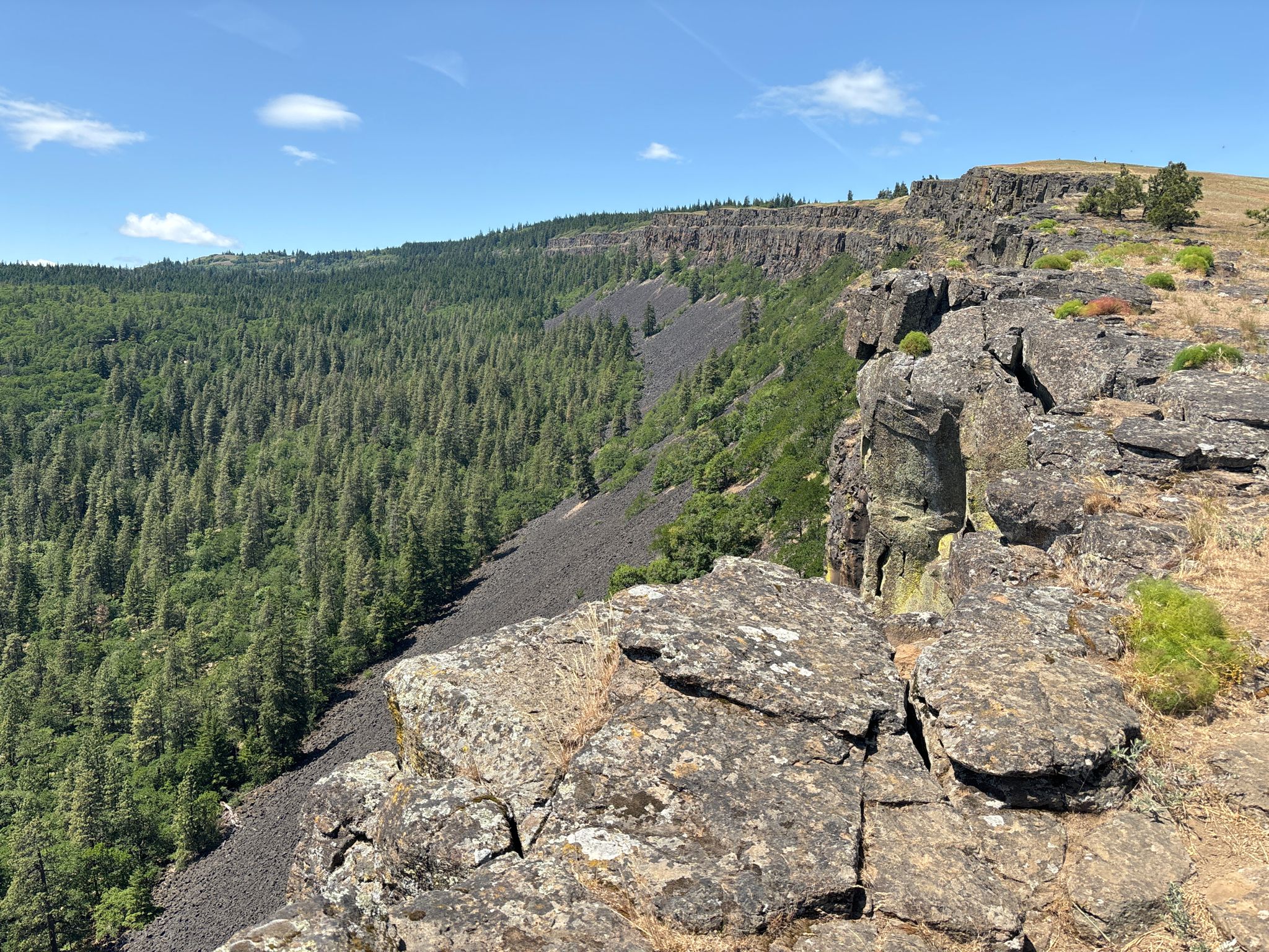 Jagged rocky cliff overlooks a dense green forest and a dark scree slope. - Coyote Wall and Labyrinth Loop