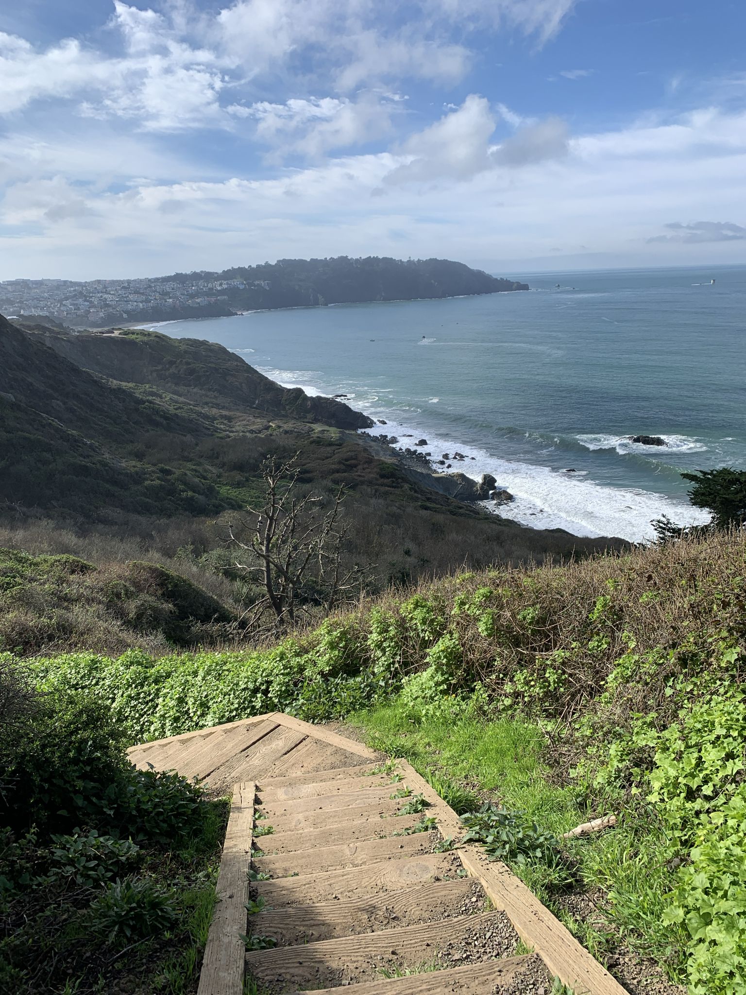 Wooden stairs descend a green hillside towards a wavy ocean and distant coastline. - California Coastal Trail: Lands End to Golden Gate Bridge