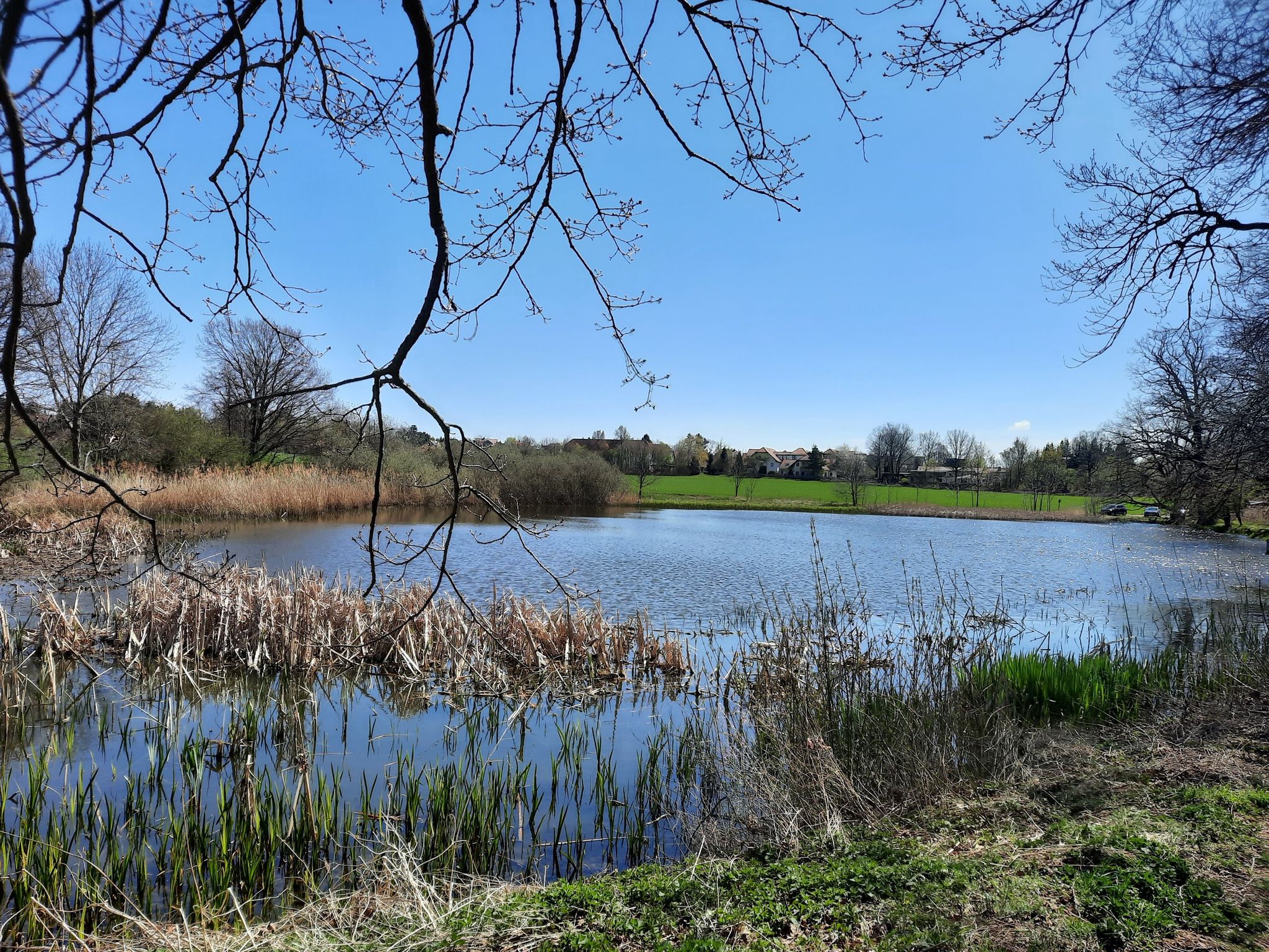 Zwirnteich
