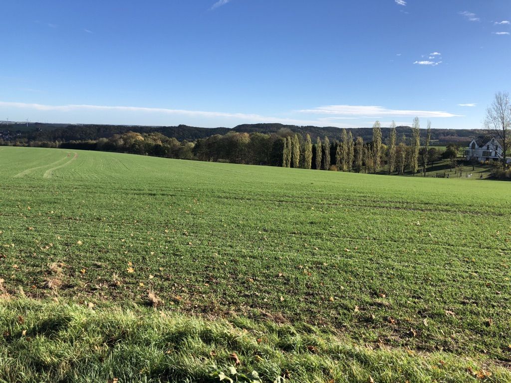 gute Fernsicht