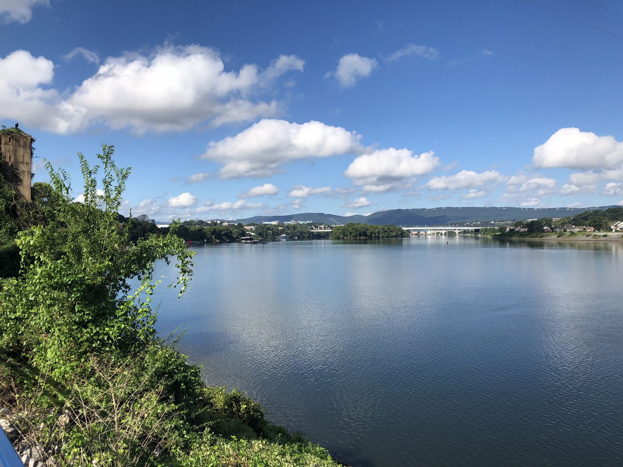 Wide river with distant bridge, green banks, and bright blue sky. - Tennessee Riverwalk