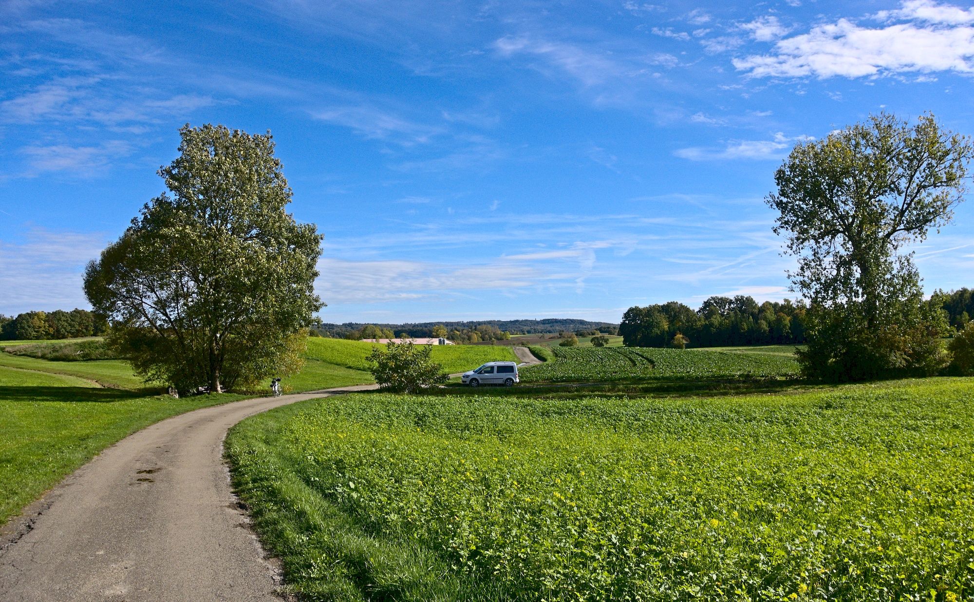 Zufahrt zum Tauberursprung bei Weikersholz