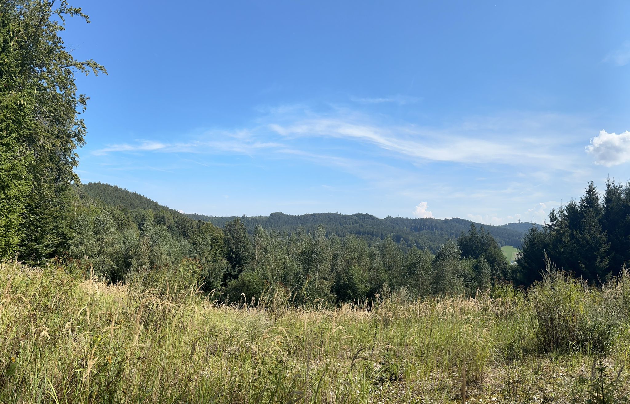 Blick zurück - den Kamm sind wir von ganz links bis weit hinter den Funkturm ganz rechts gewandert