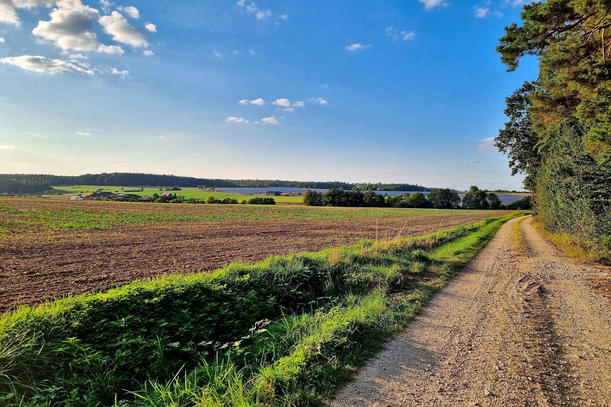 Rausgeploppt bei Oberweiler