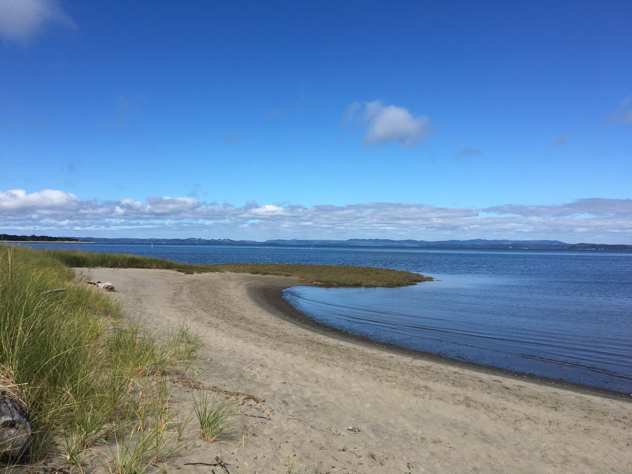 Sandy beach curves into calm blue water with green grass under a clear sky. - Bay Loop Trail