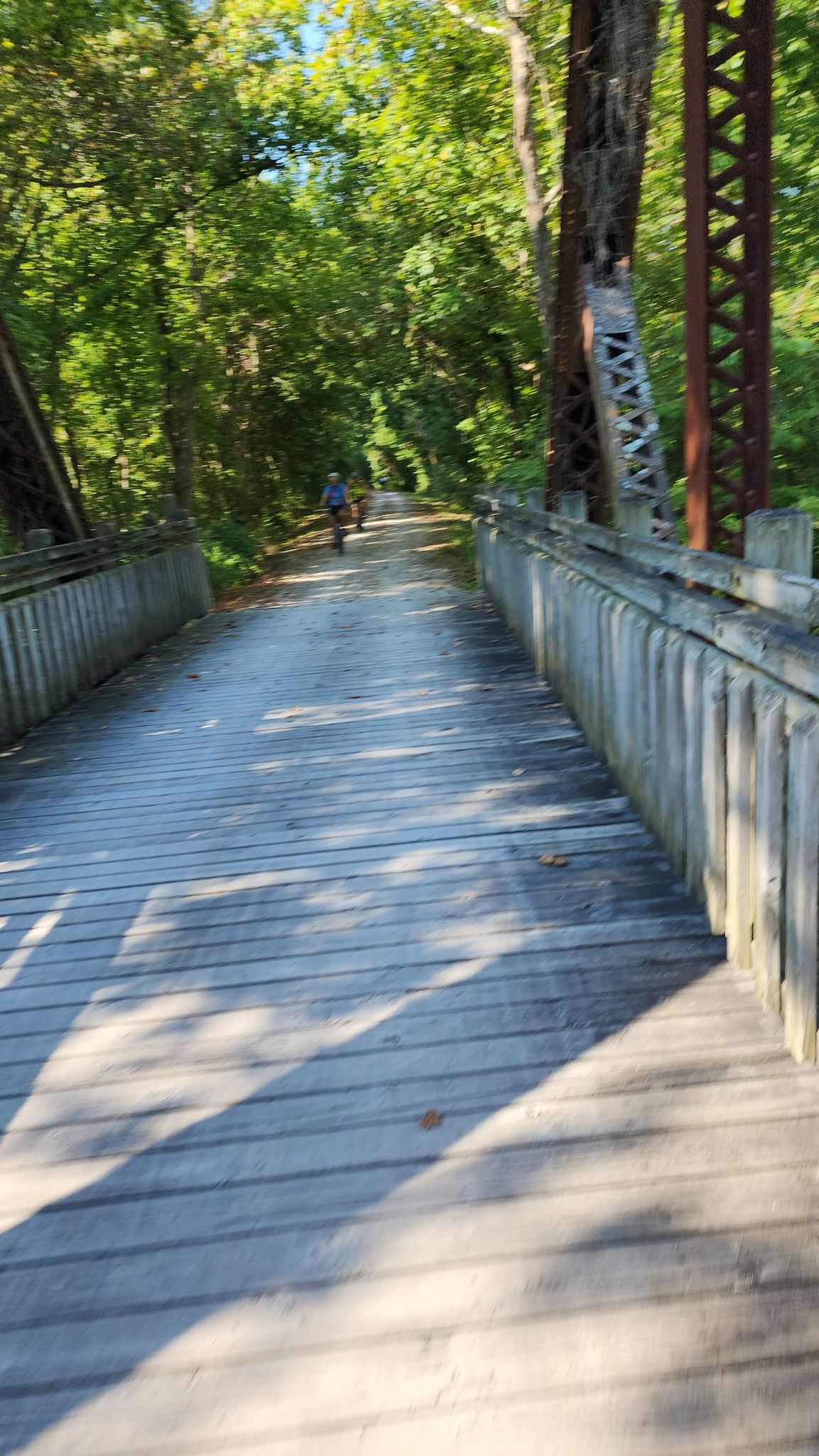 Cyclist on a wooden bridge with dappled sunlight, surrounded by green trees. - Katy Trail – Augusta loop from Matson Hill Park trailhead