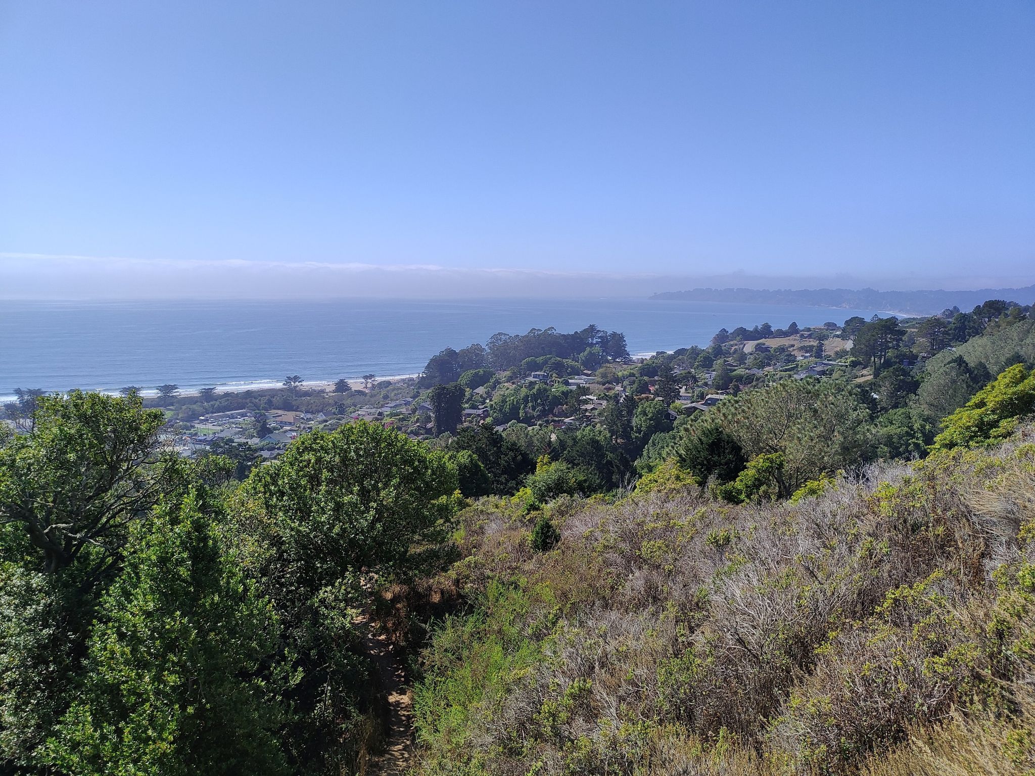 Sunny panoramic view of green trees and distant ocean with whitecaps. - Matt Davis Trail
