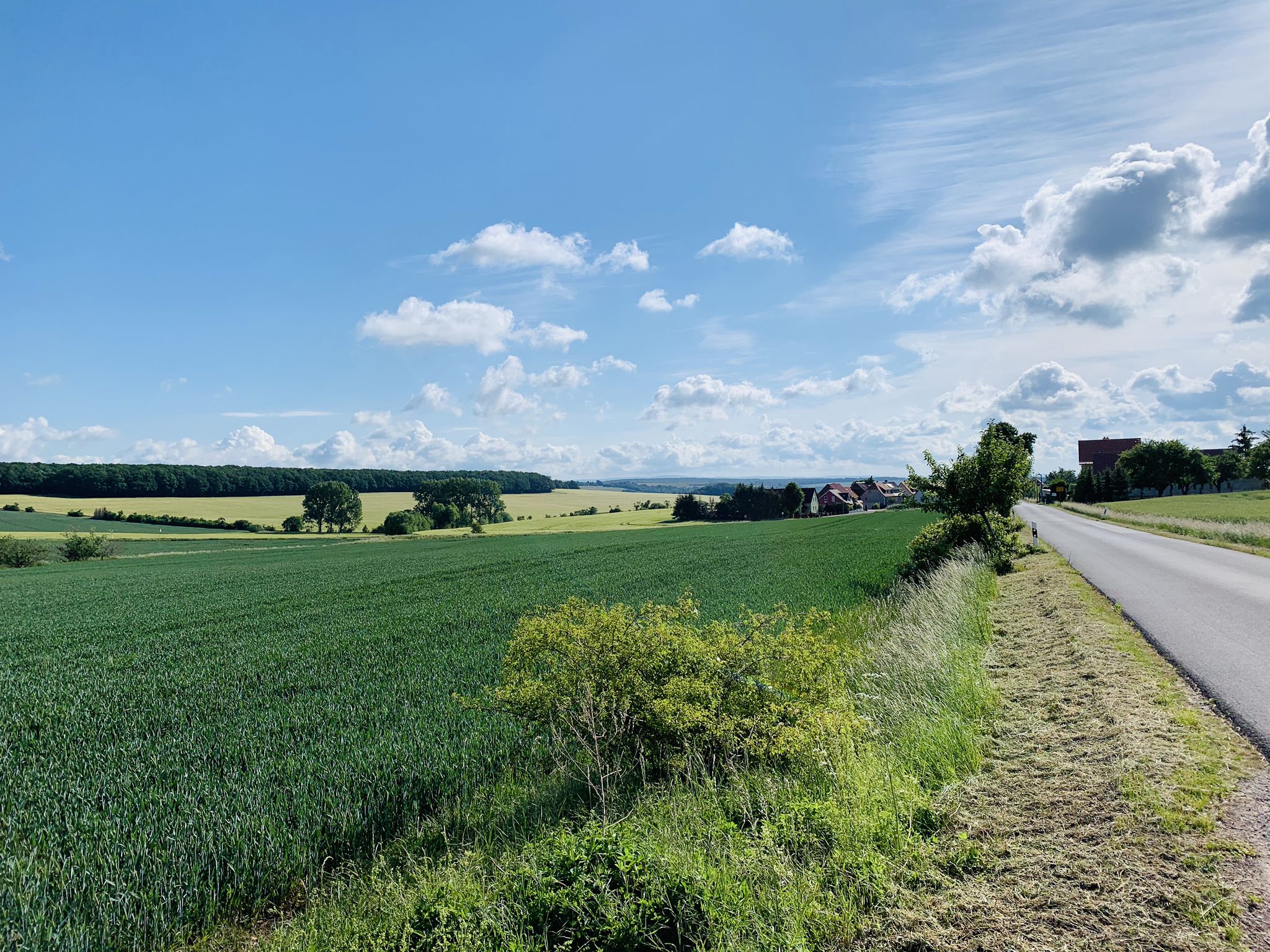 Blick nach Wallrode