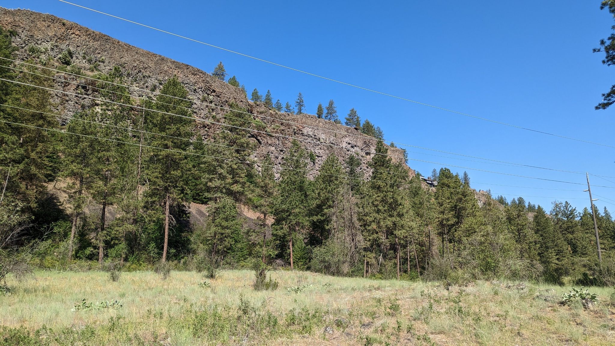 Sunny hillside with pine trees and a rocky cliff face. - Bowl and Pitcher Overlook – Riverfront Park loop from Spokane