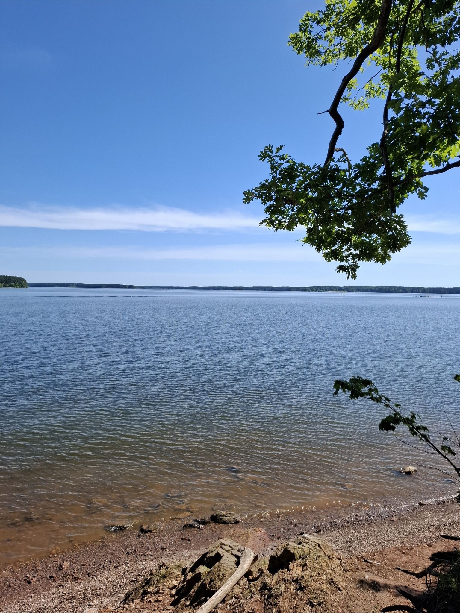 A wide expanse of blue lake water meets a sandy shore under clear sky. - New Hope Trail - Red Loop
