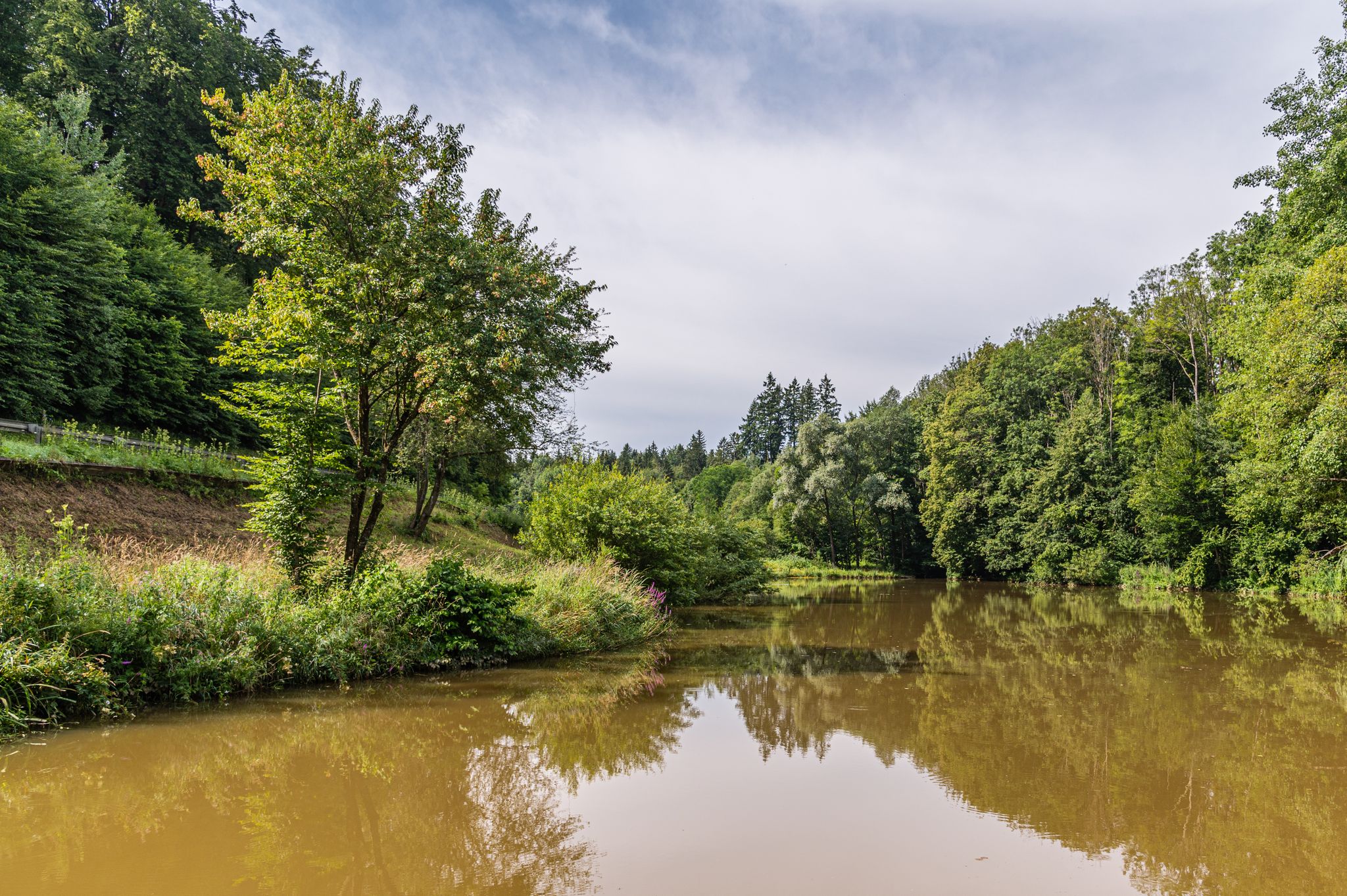 kleiner Teich an der Thalerseestraße