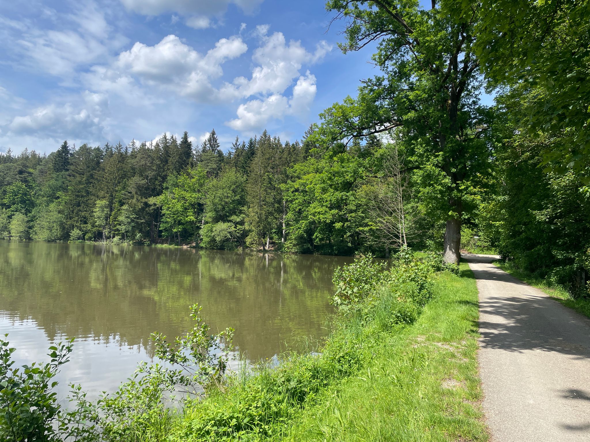In der Ellwanger Seeenlandschaft. Der Grießweiher.