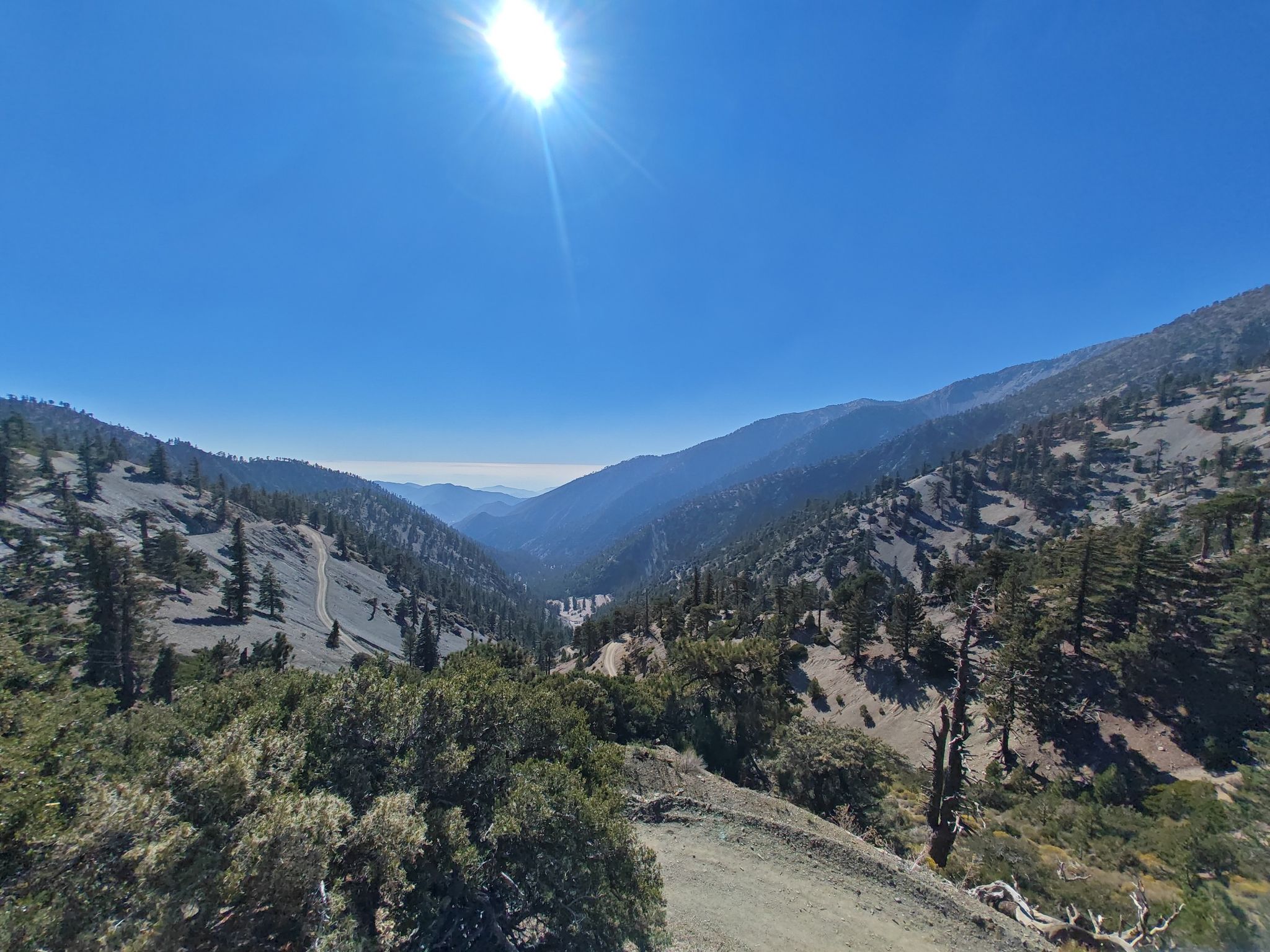 Sunny mountain valley with forested slopes and a bright sun flare. - Mount Baldy loop from Sugarloaf Peak