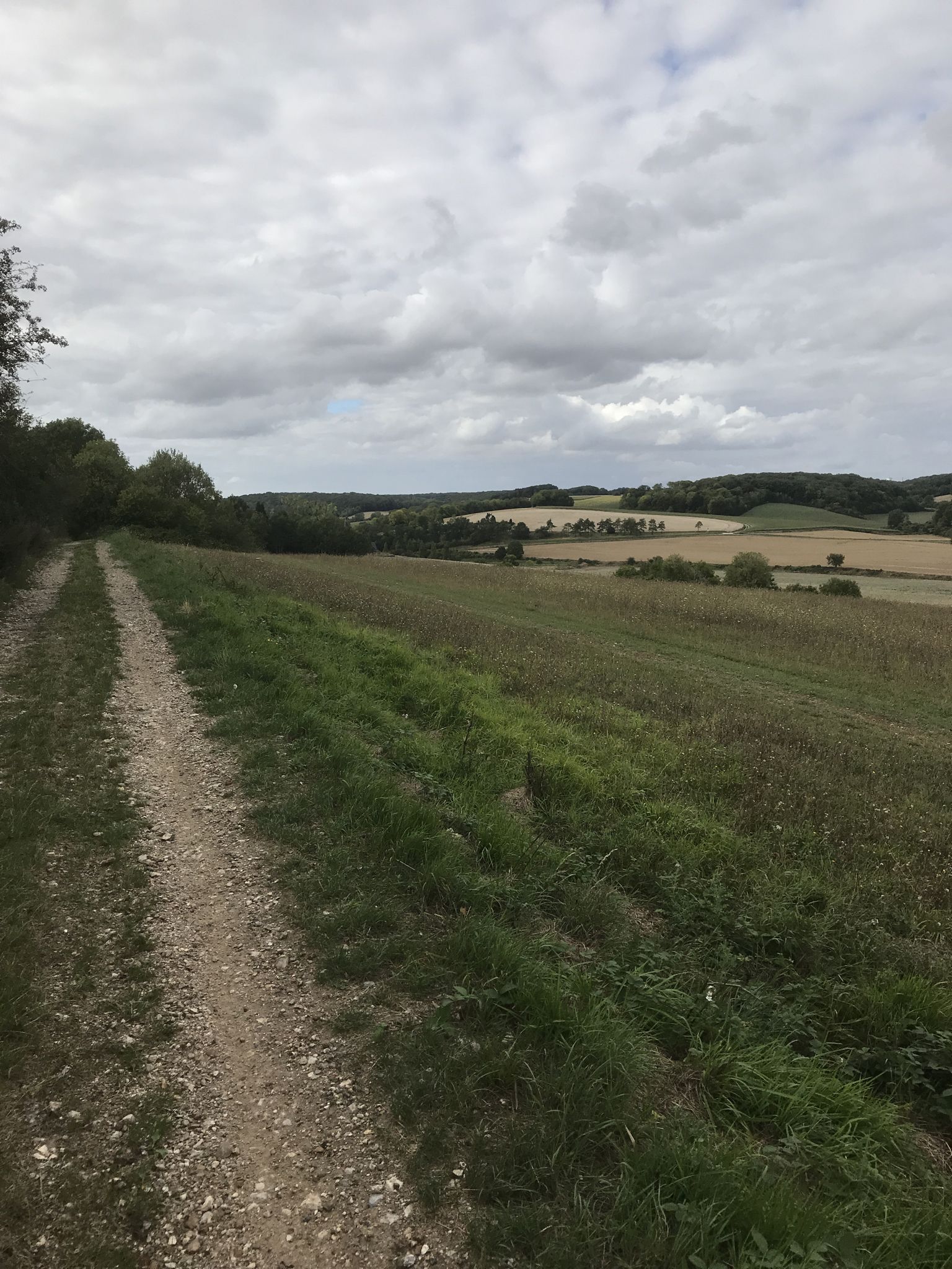En « plaine » campagne
