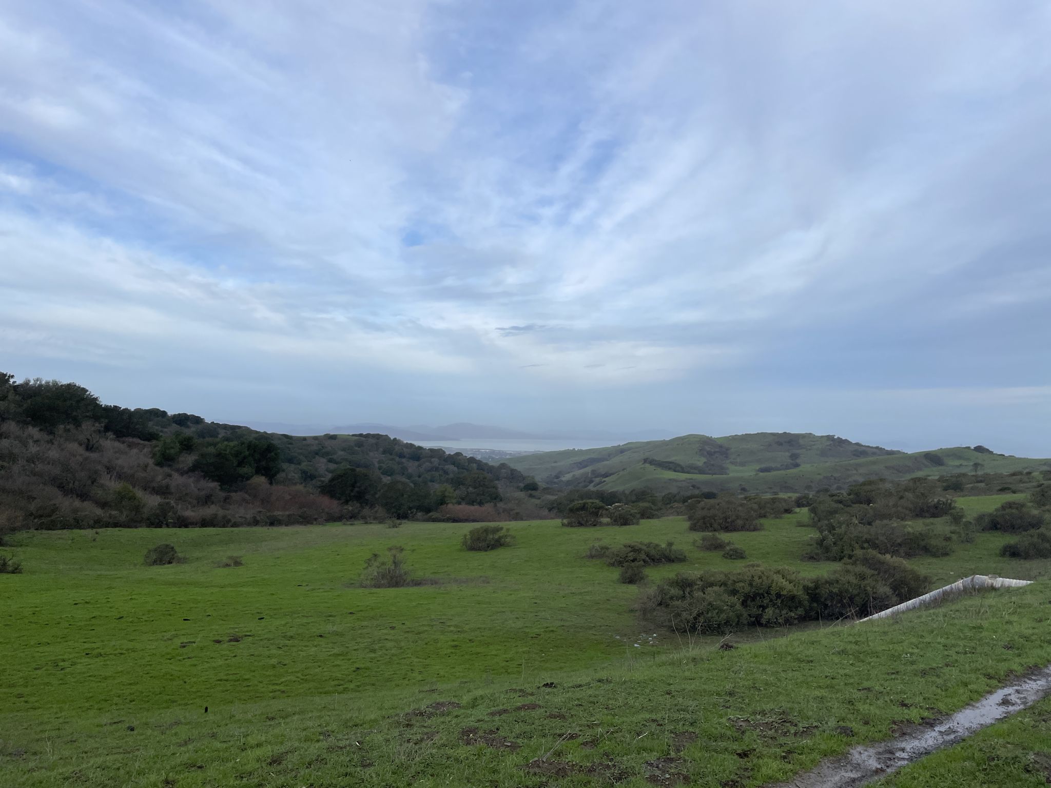Lush green rolling hills and distant landscape under a soft cloudy sky. - Inspiration Point Overlook – Belgum Trail loop from El Cerrito