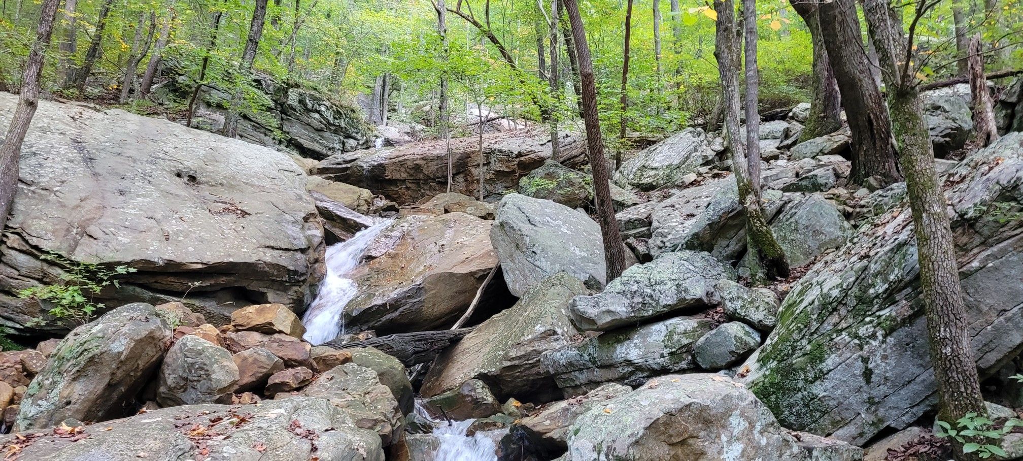 A small waterfall tumbles over large mossy rocks in a green forest. - Cumberland Trail: North Chickamauga Creek Segment