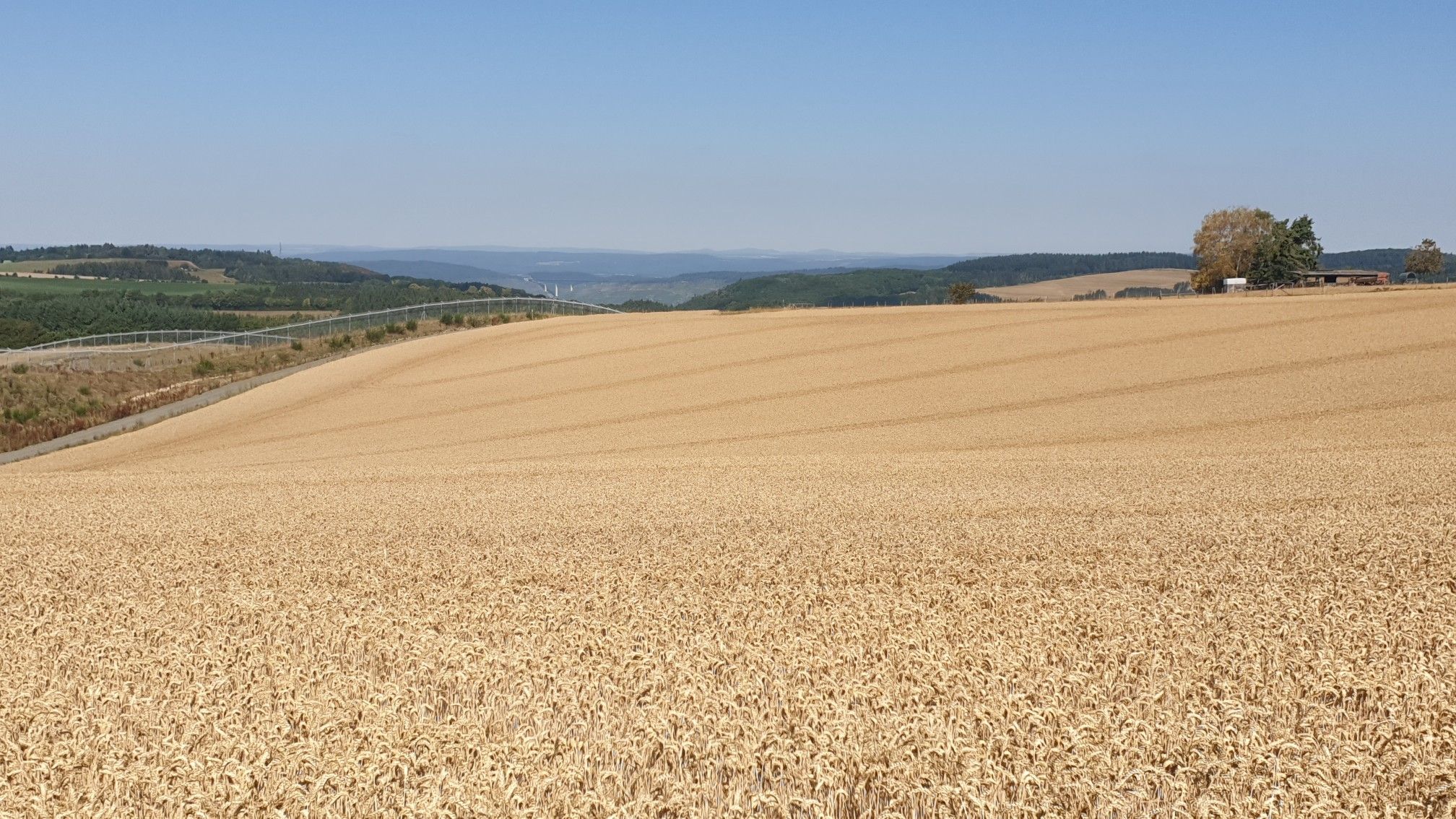 Hunsrückhöhen