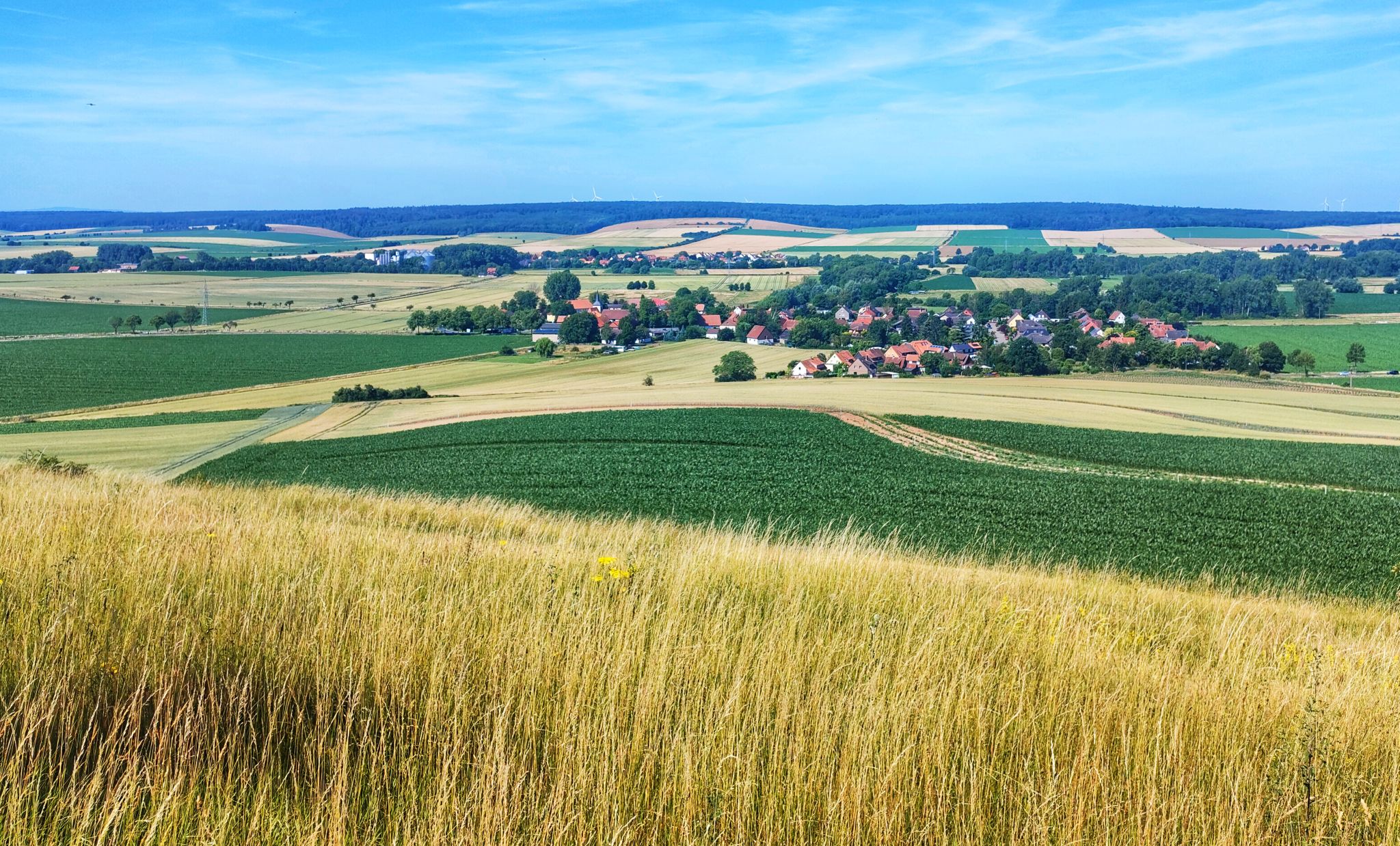 Blick vom Ösel, vorn Neindorf, dahinter Ohrum, Richtung Oderwald