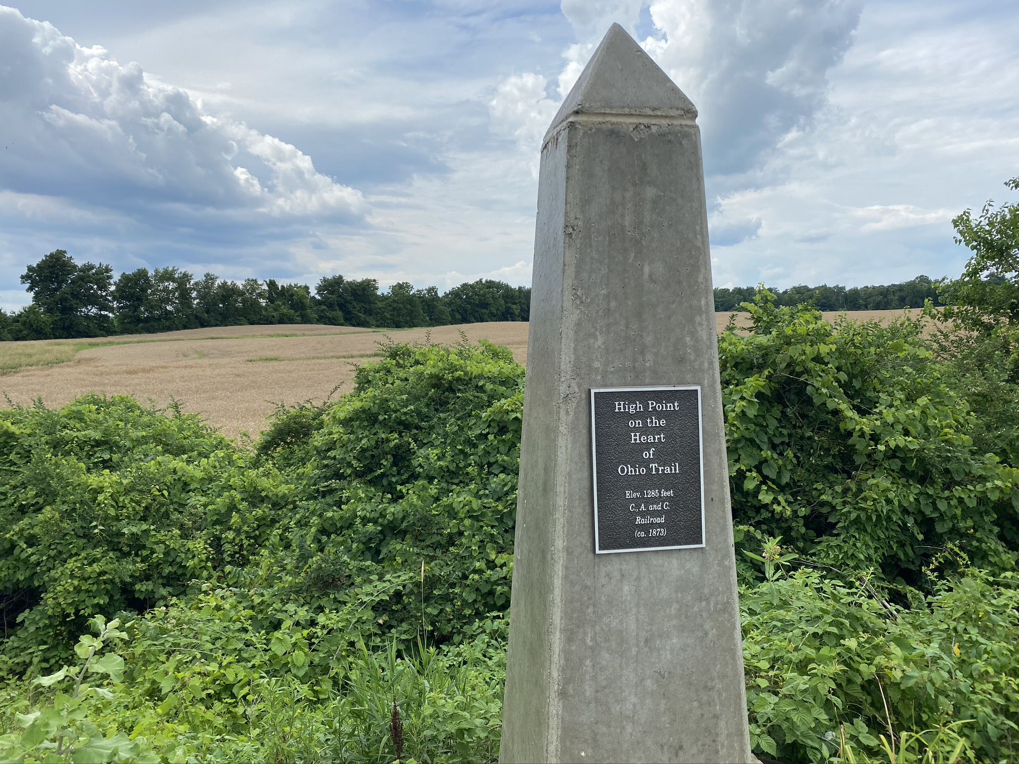 Tall gray monument with a plaque, surrounded by green bushes under a cloudy sky. - Bike loop from Sunbury