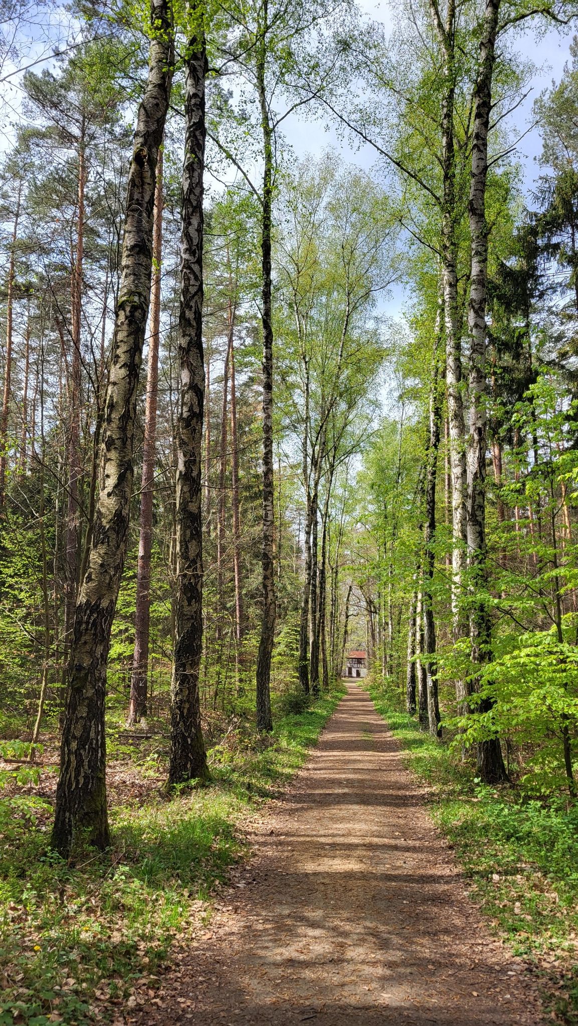 Zwischen dem Grünen Haus und der Jagdanlage