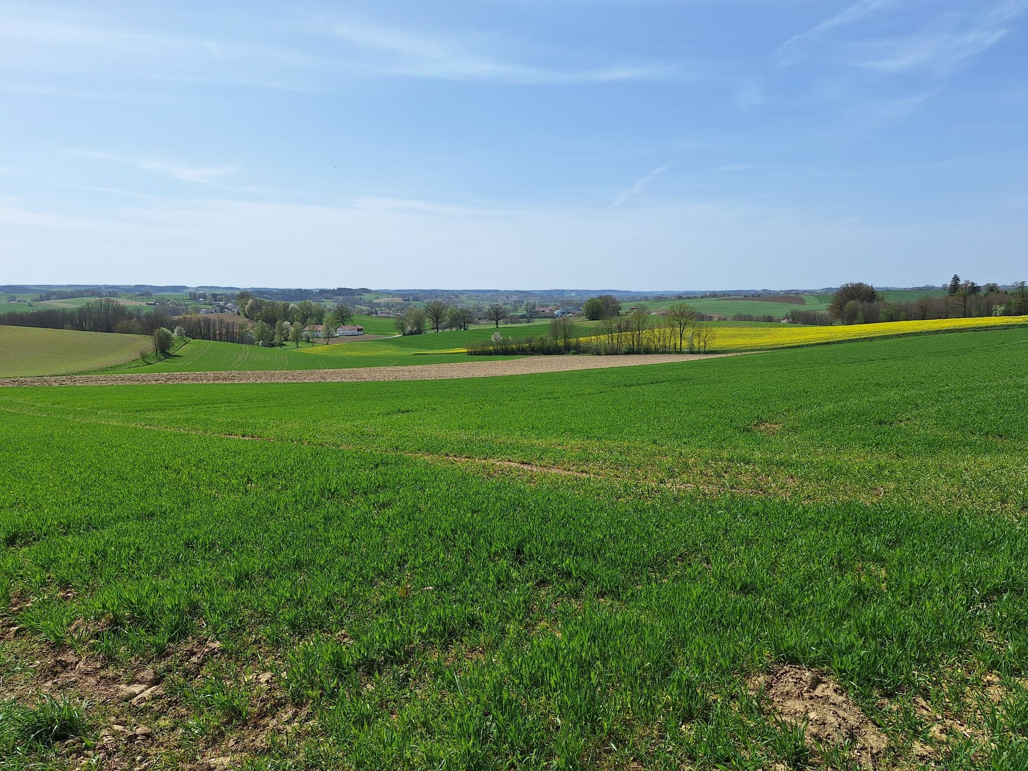 Ausblick ins Isental