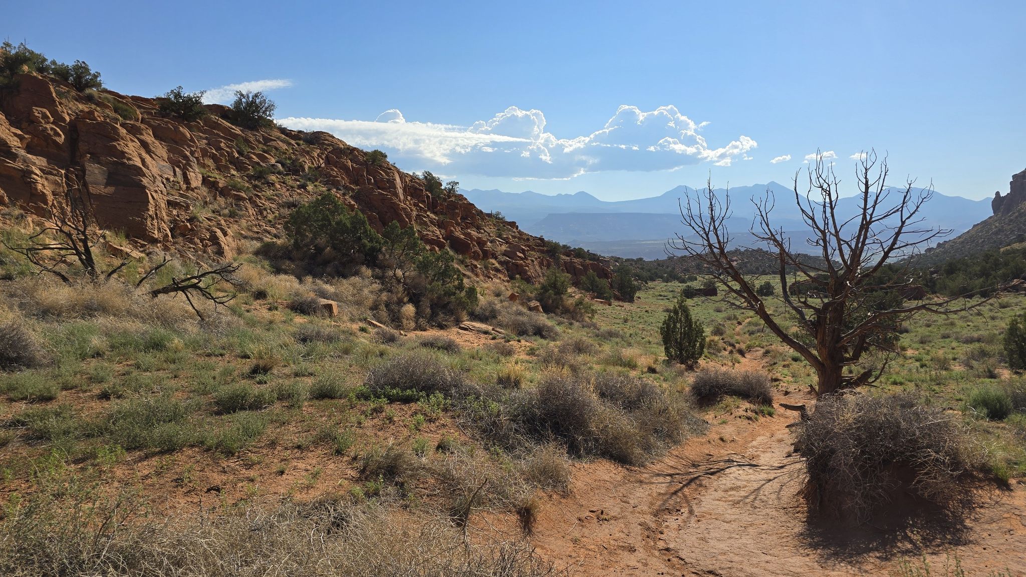 Desert valley with red cliffs, sparse brush, and distant mountains under blue sky. - Hidden Valley Trail
