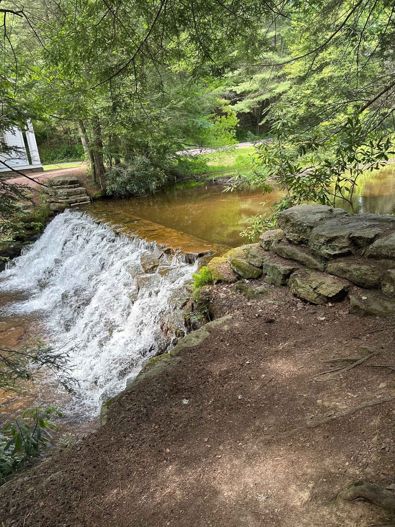 Foaming waterfall cascades over rocks in a lush green forest. - Running loop from Hickory Run