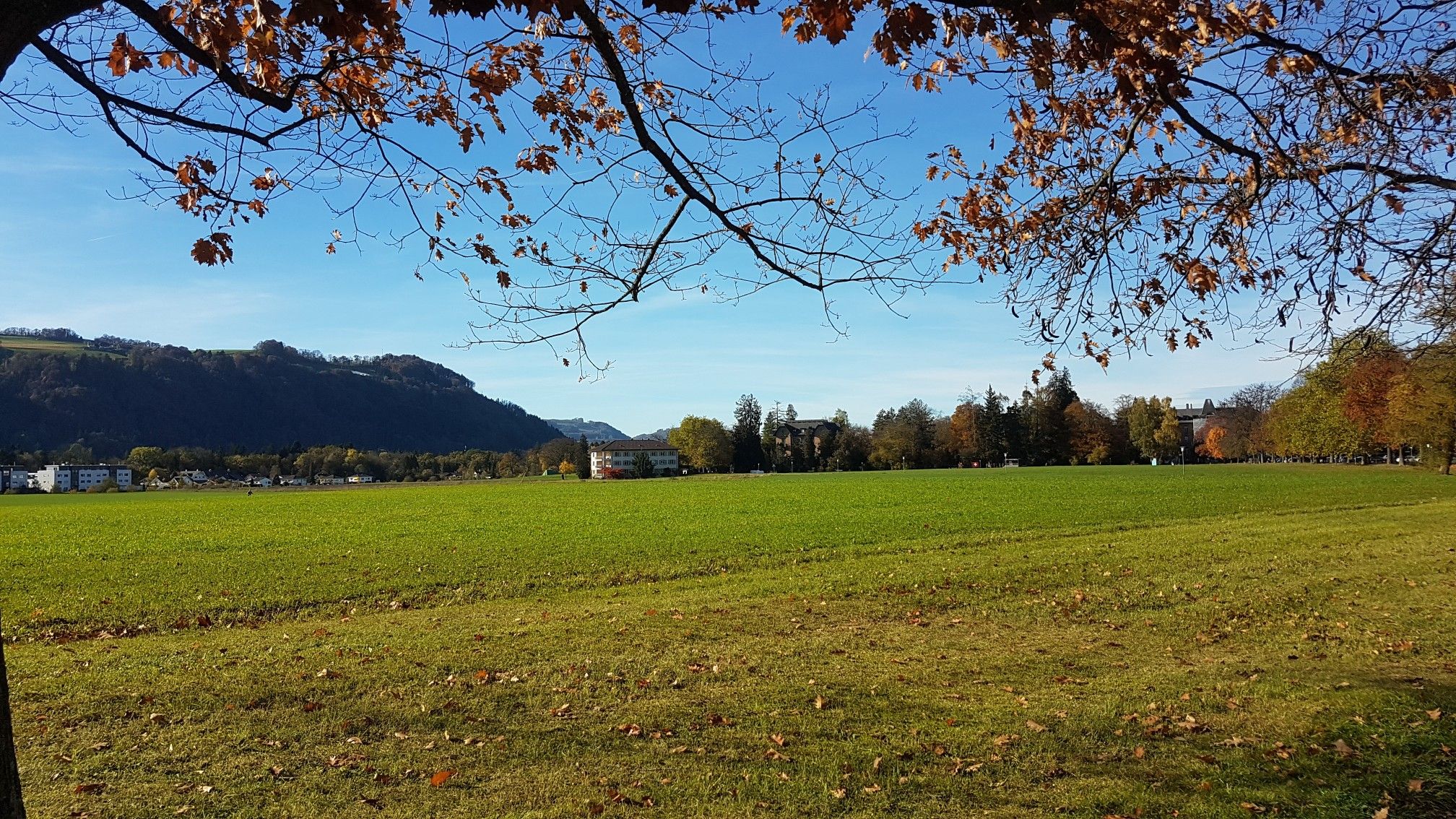 Belpberg