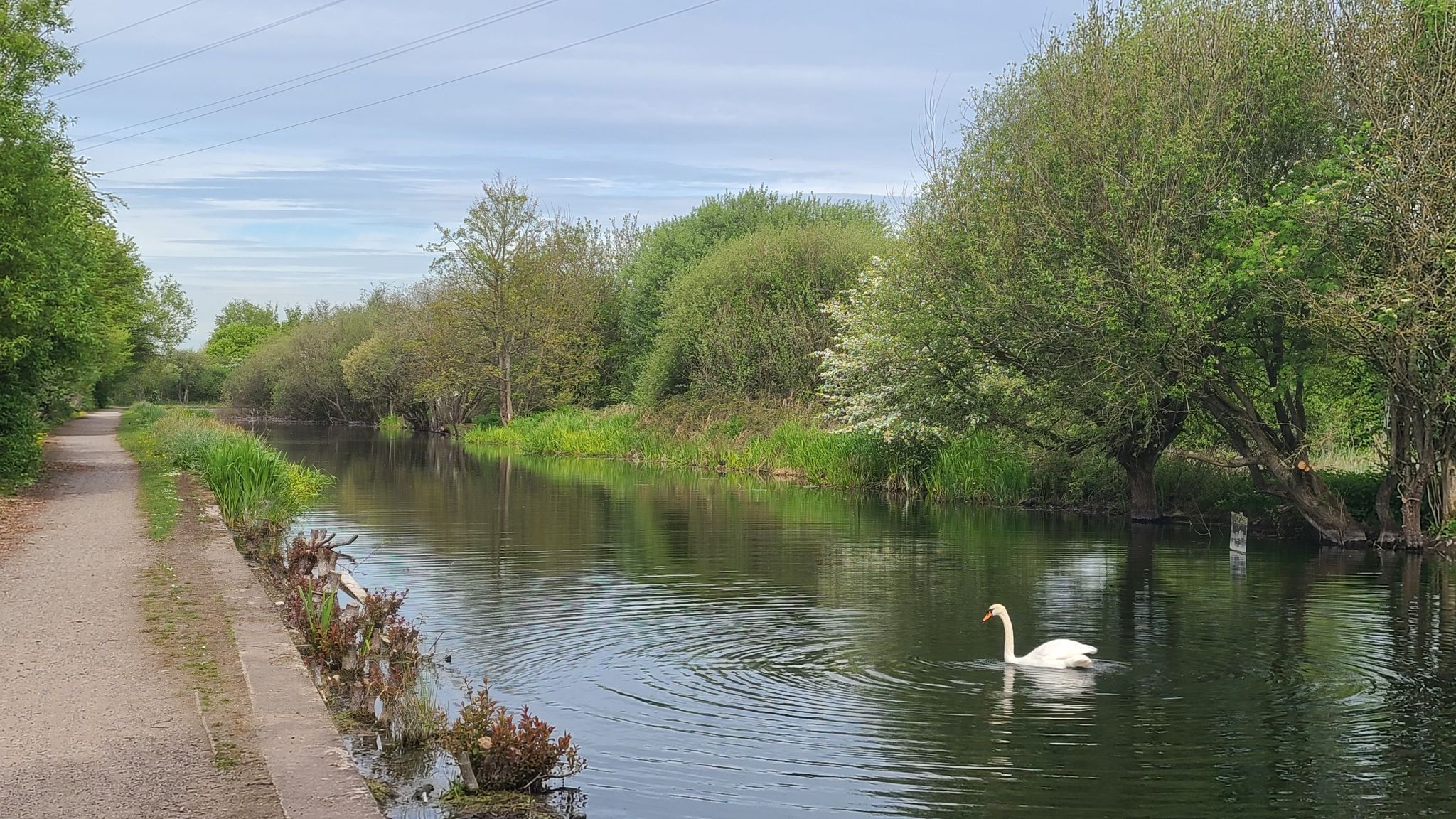 Sankey Canal