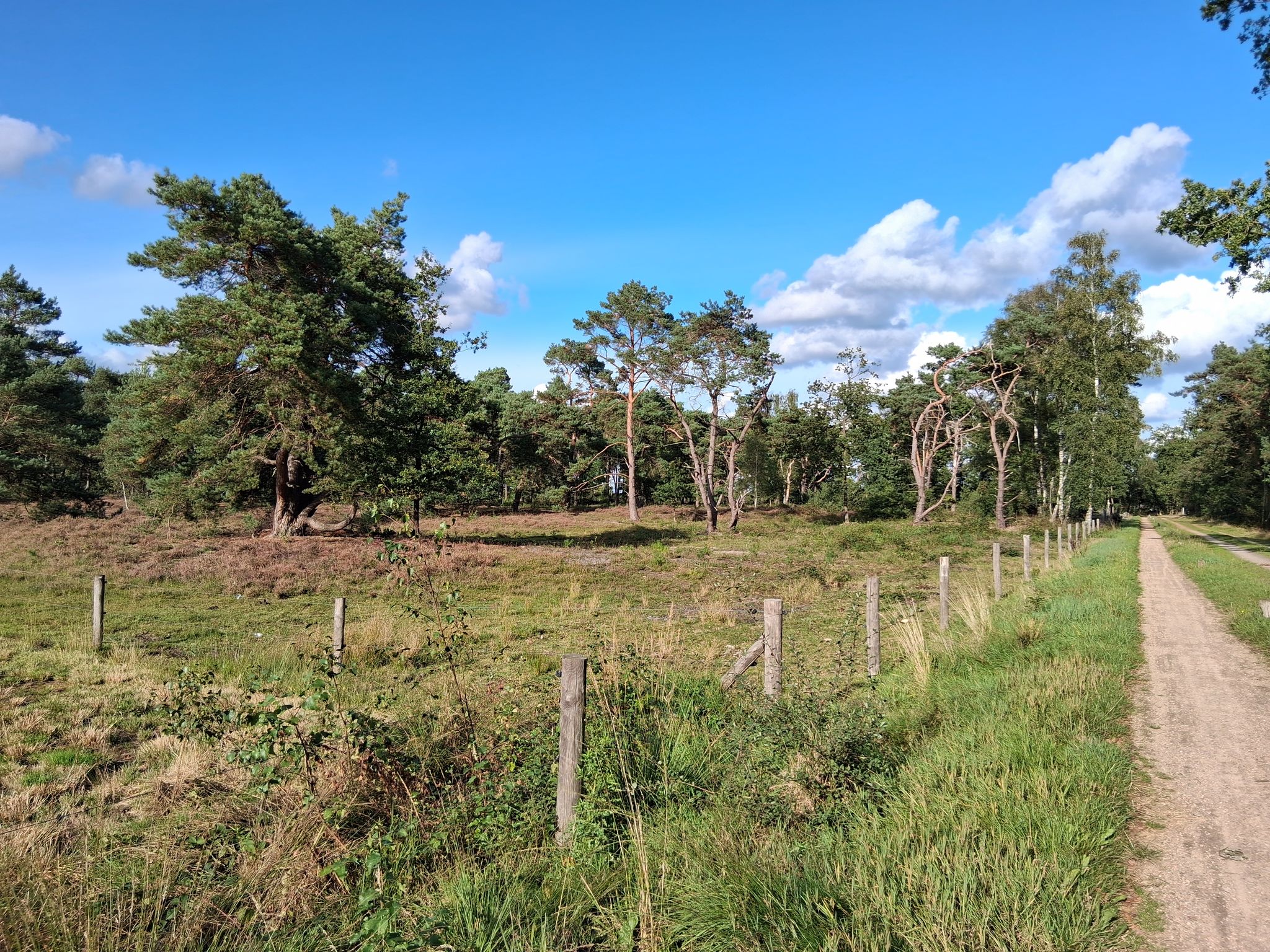 Fietspad an den Bergvennen