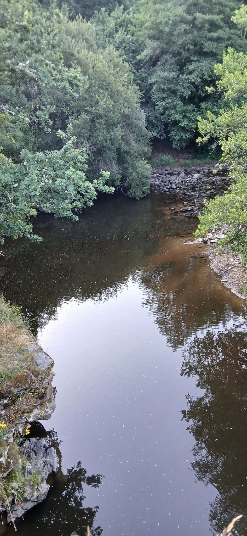 Le Cher au Moulin de Rameau.