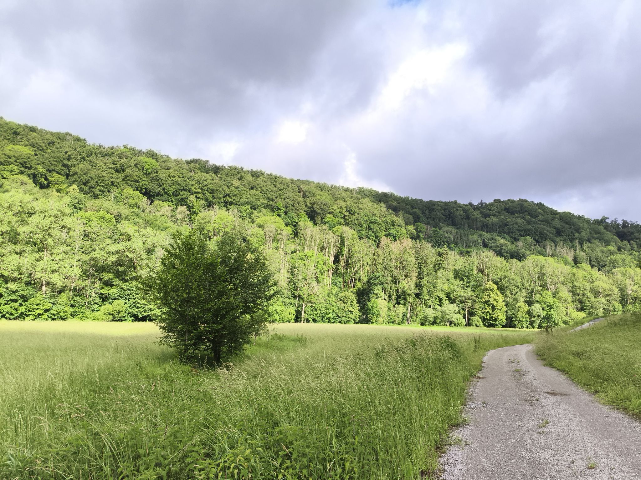 Das Bühlertal 