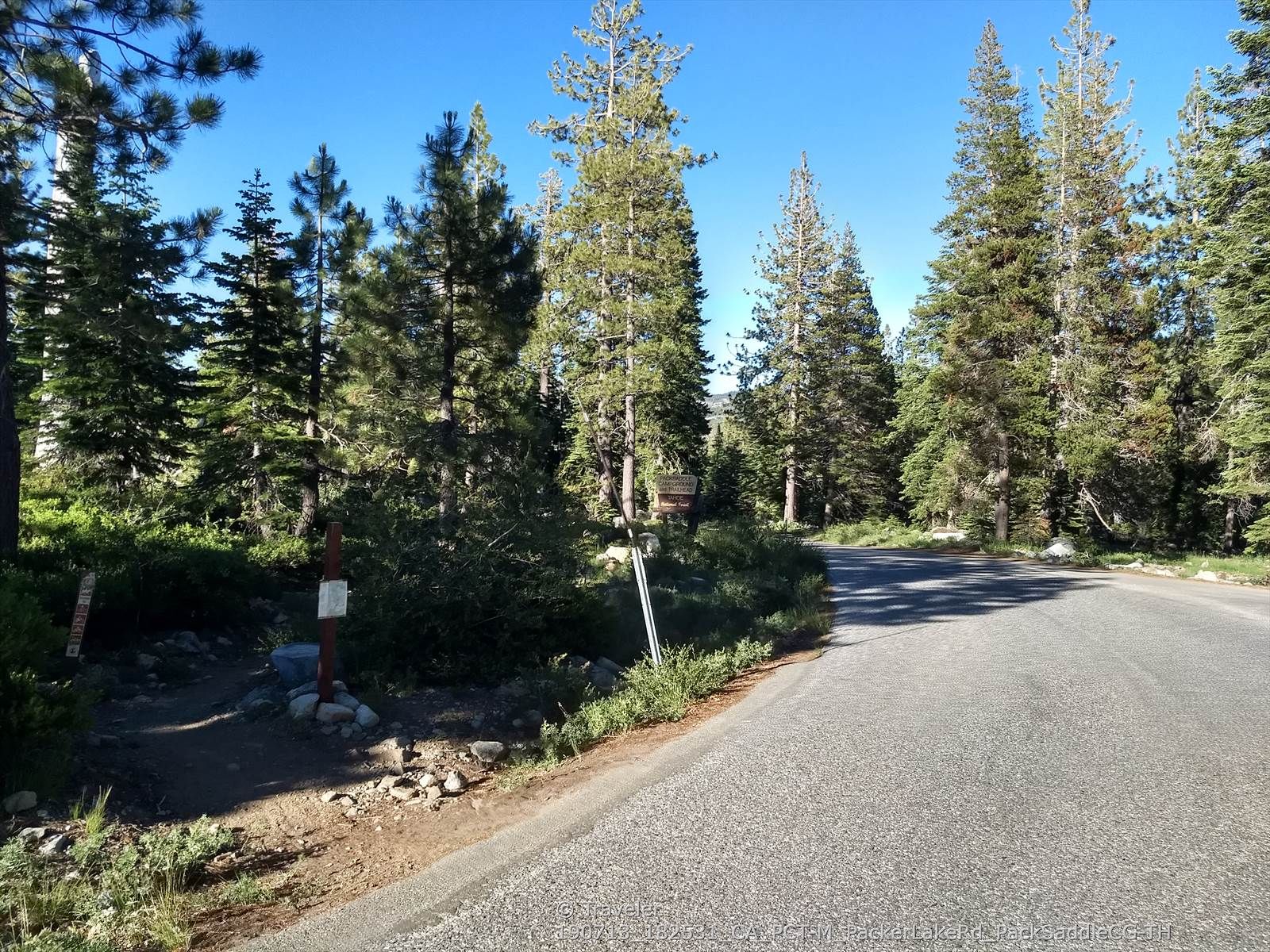 An asphalt road winds through a dense pine forest under bright daylight. - Upper Salmon, Horse, and Deer Lakes via Deer Lake Trail and the PCT