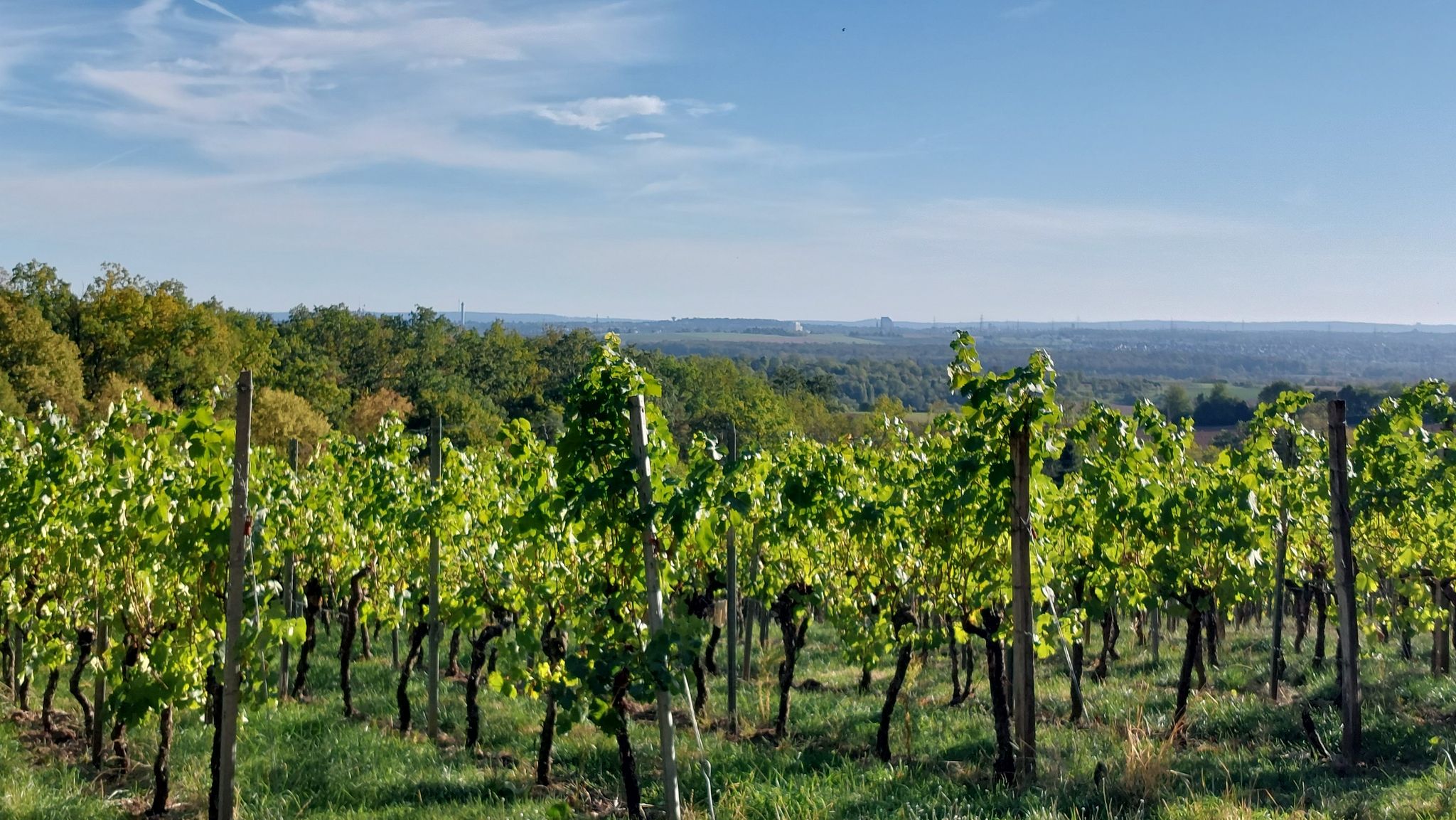 Blick in Richtung Ludwigsburg