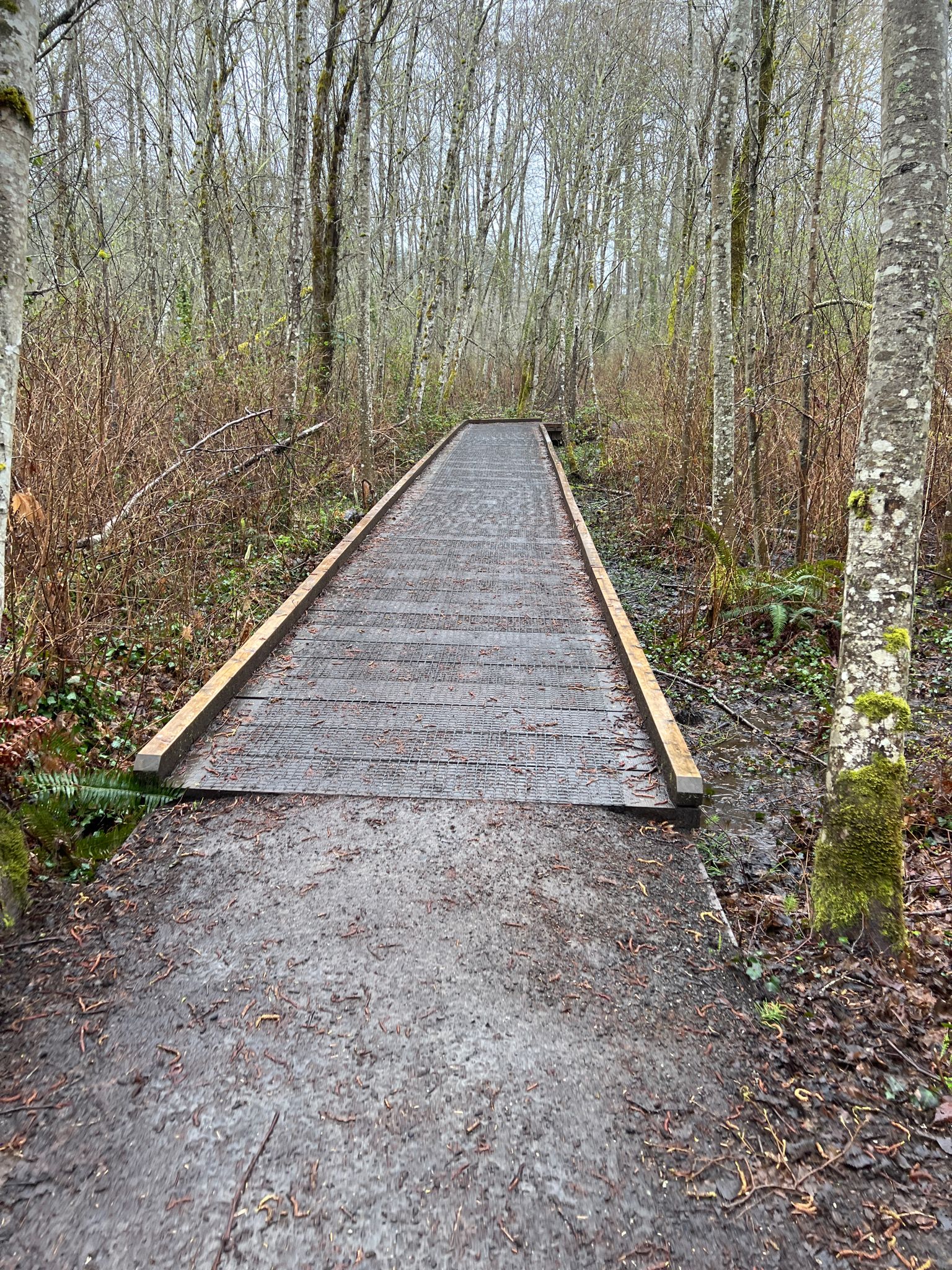 Long wooden boardwalk through a bare winter forest, muddy path. - Sakai Loop