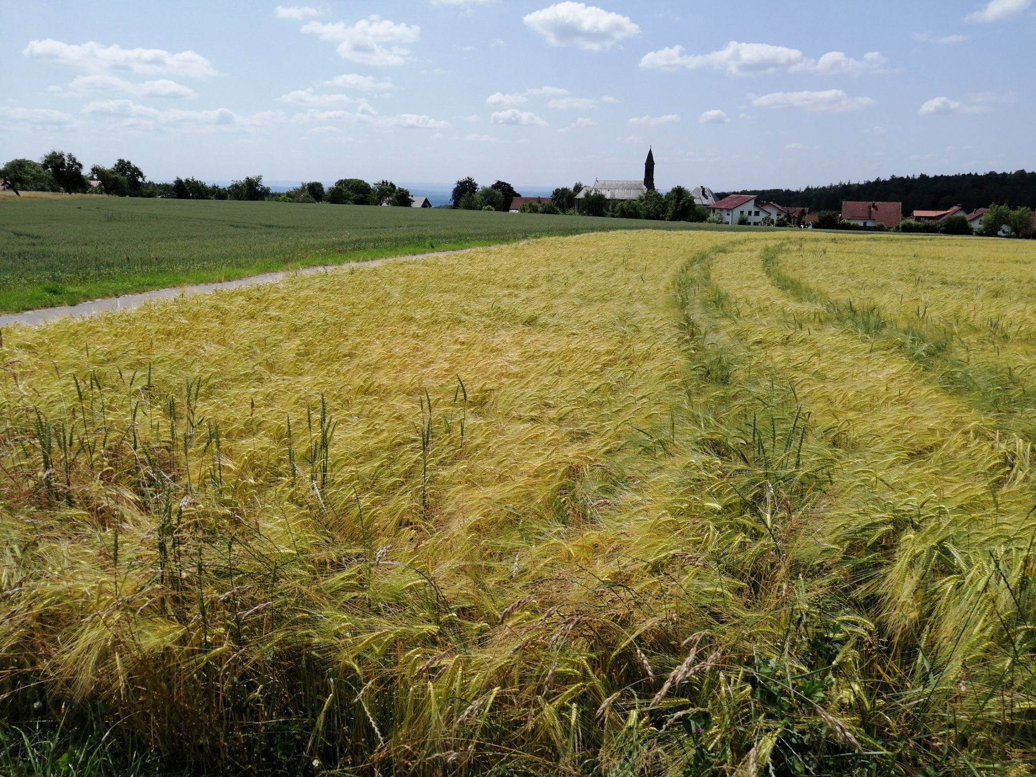 Sommerhitze