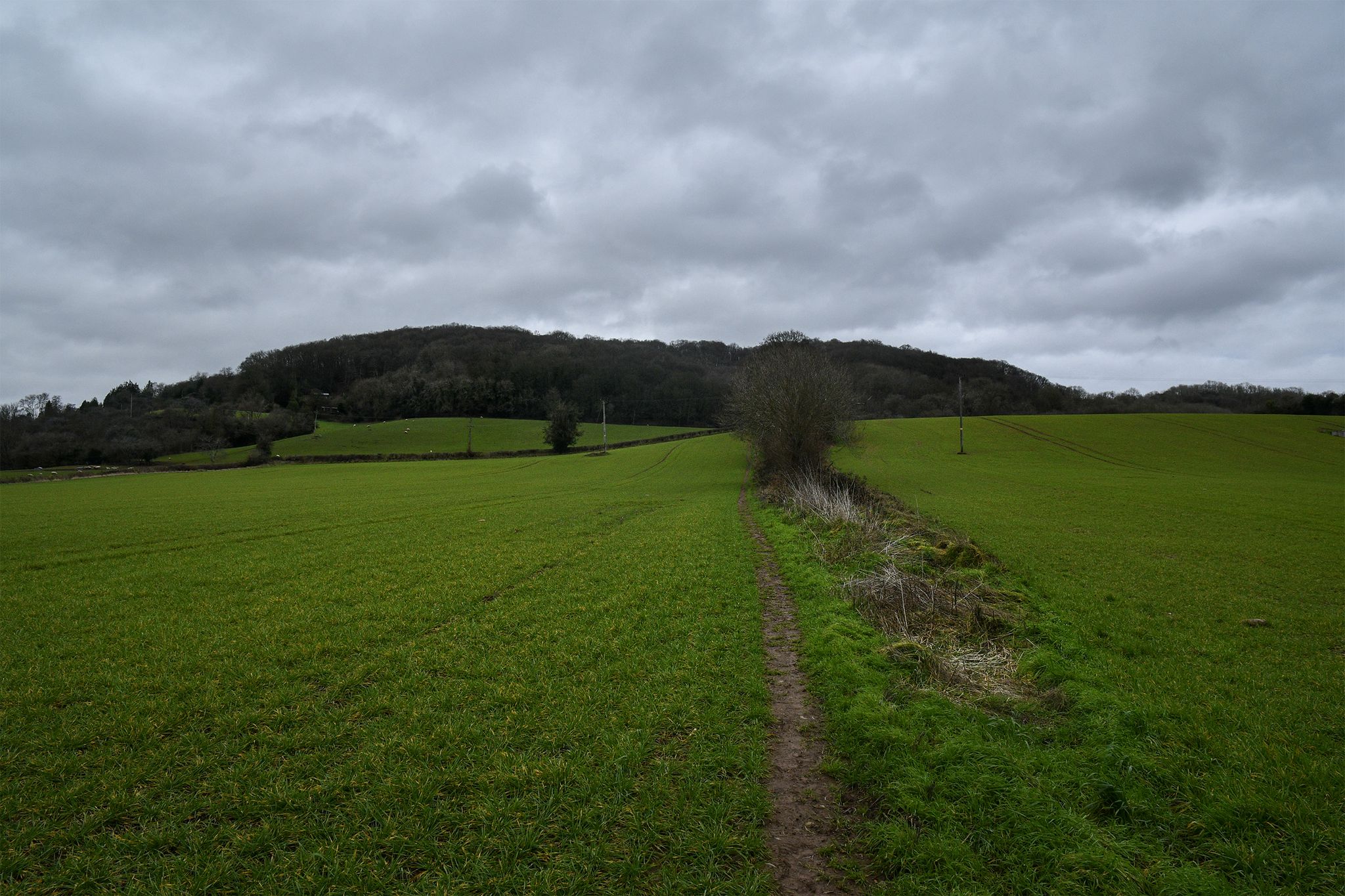 Up!  Towards Abberley Hill
