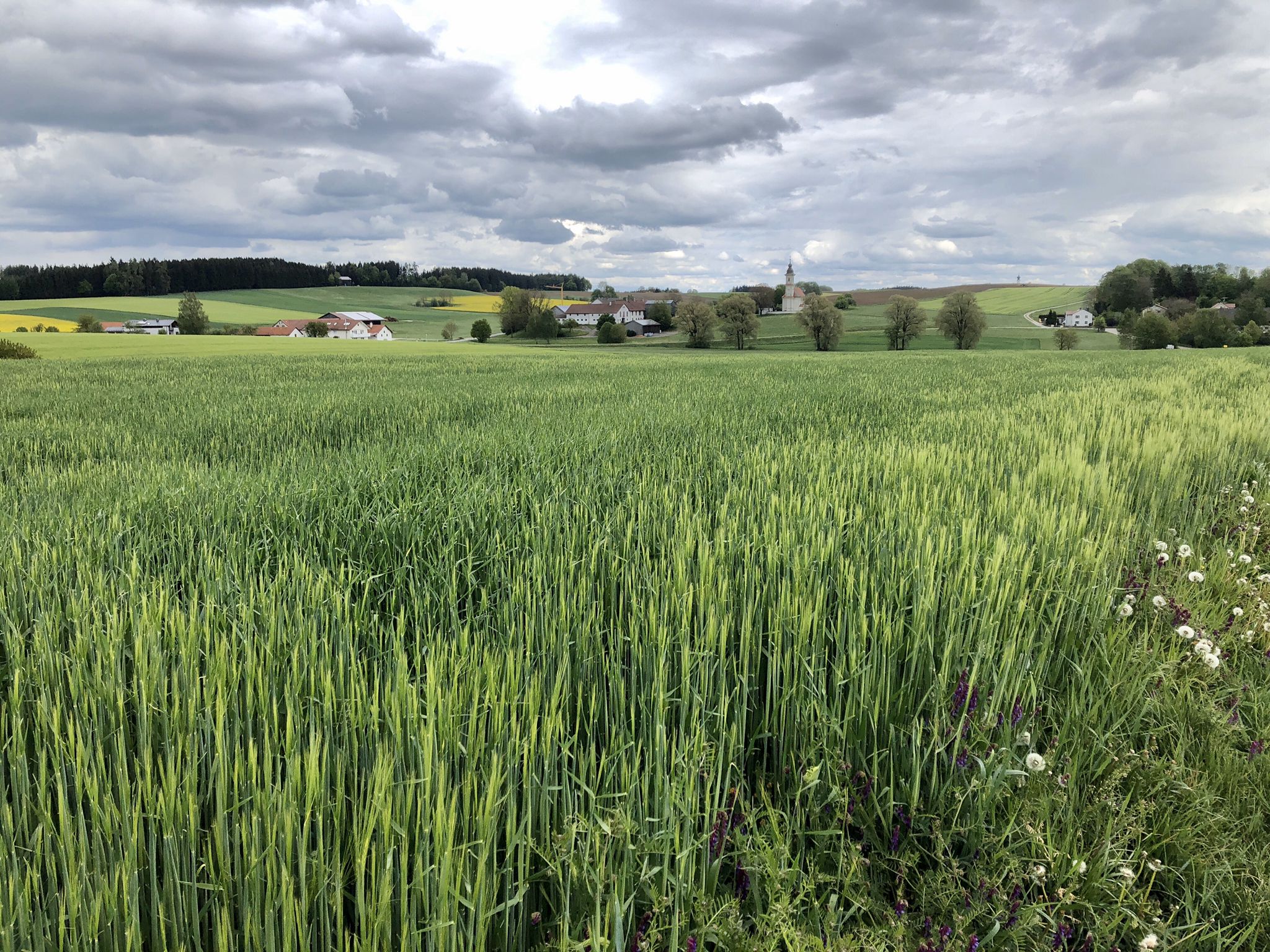 weiter nach Oberbierbach