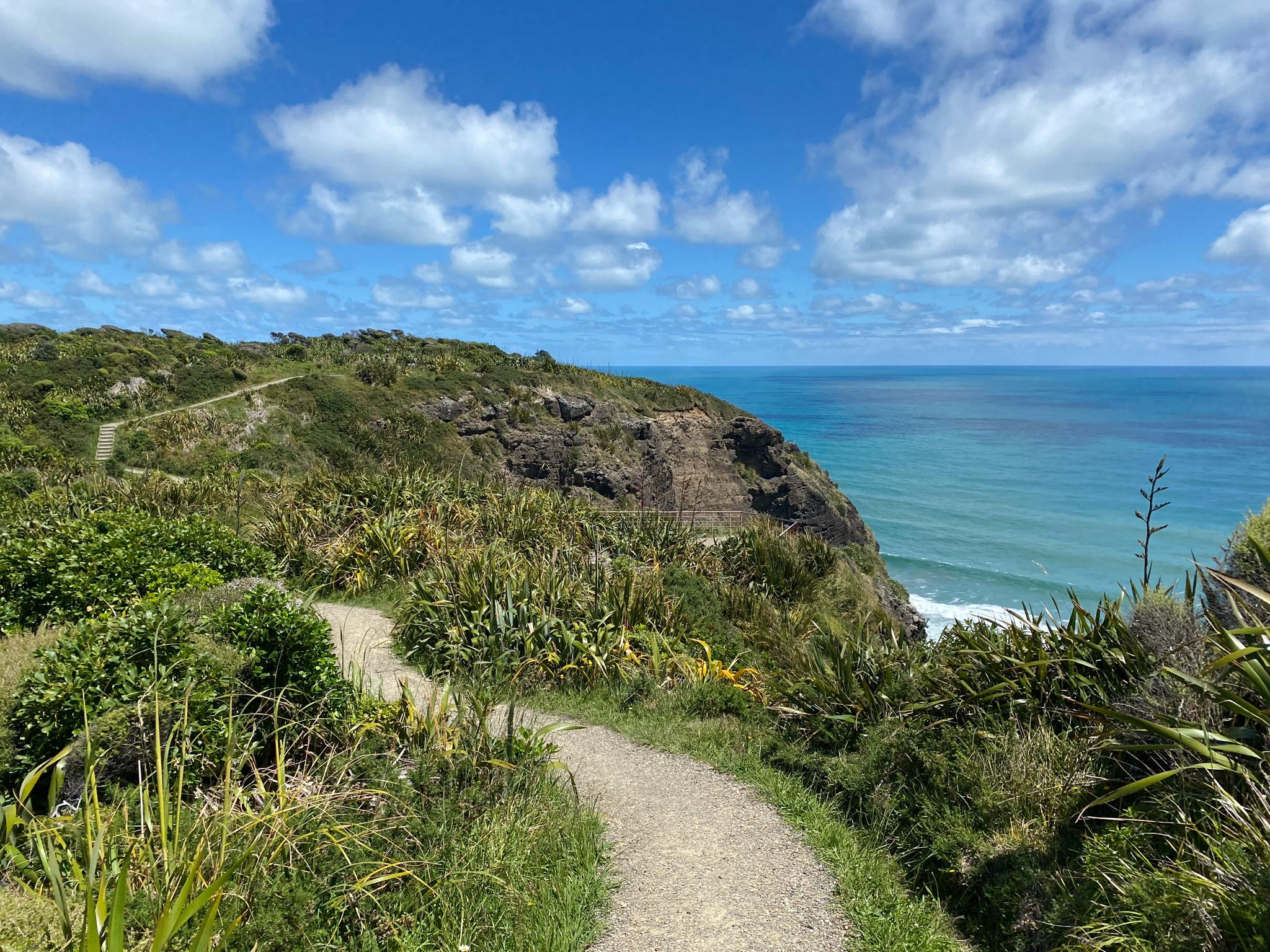 Things to Do in Waitākere Ranges Regional Park